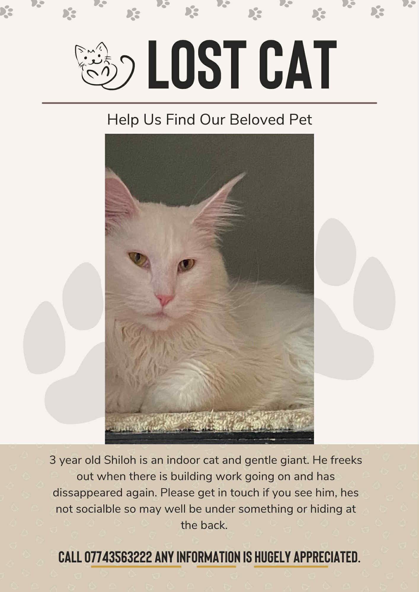 Donate to help Shilohs Recovery campaign photo, 5 of 6