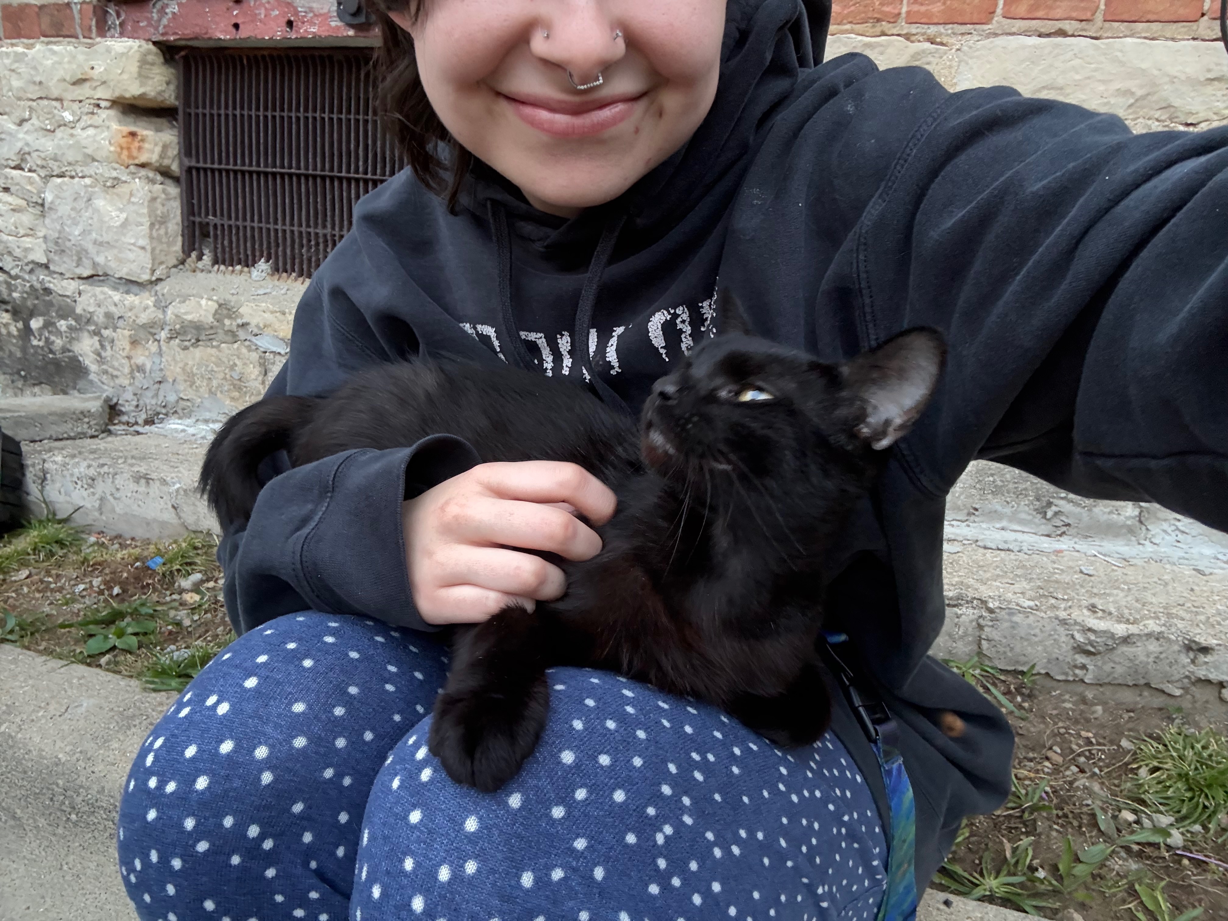 Help Princess and her Kittens with Medical Costs campaign photo, 7 of 7