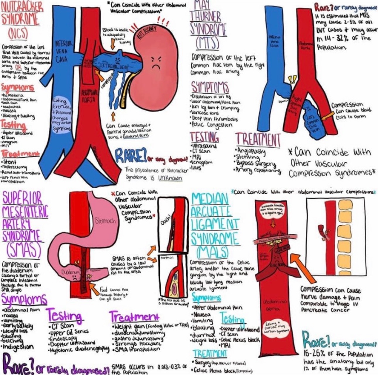 User-uploaded image 1