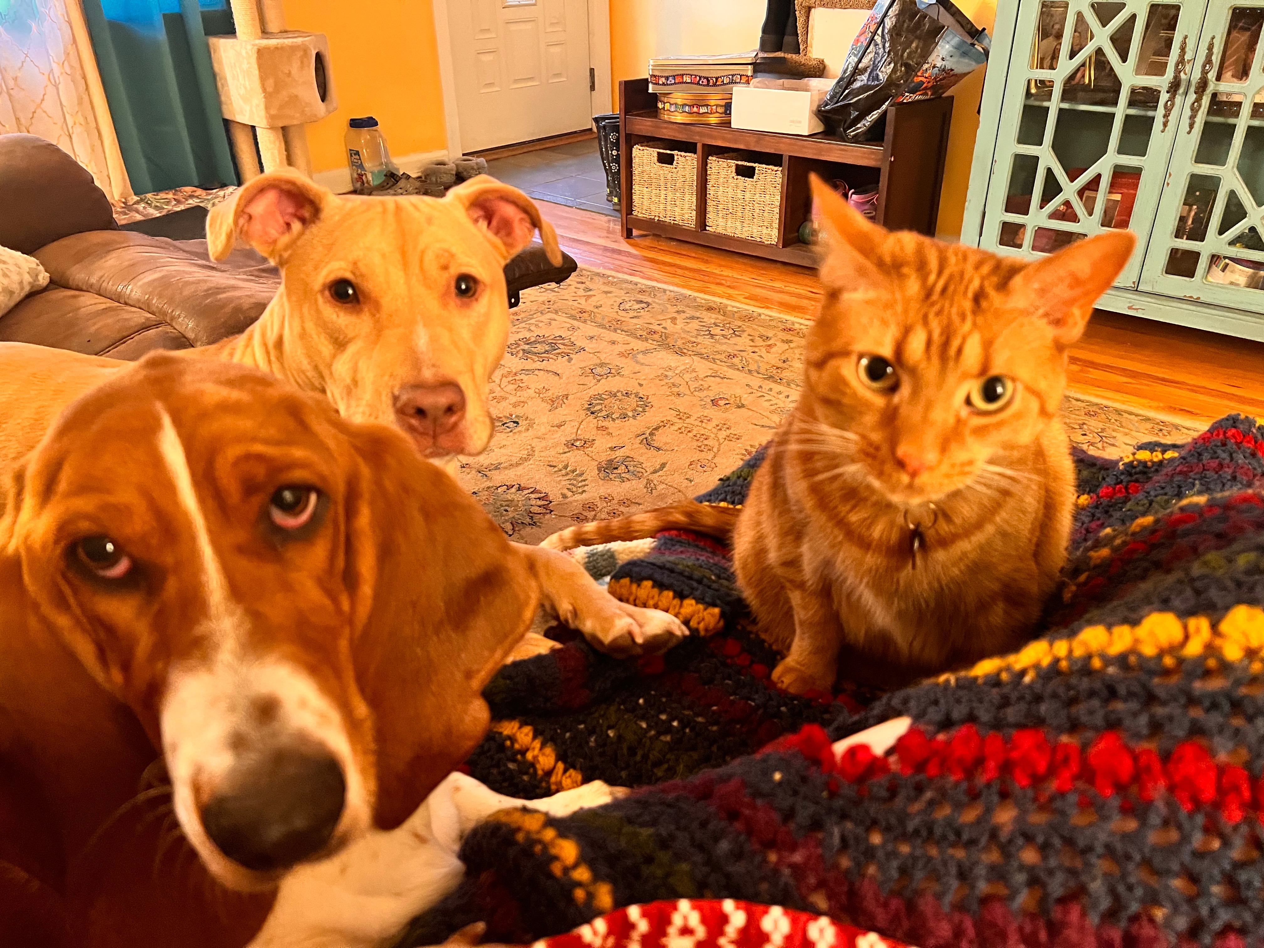 Support Our Family's Recovery from House Fire campaign photo, 5 of 8