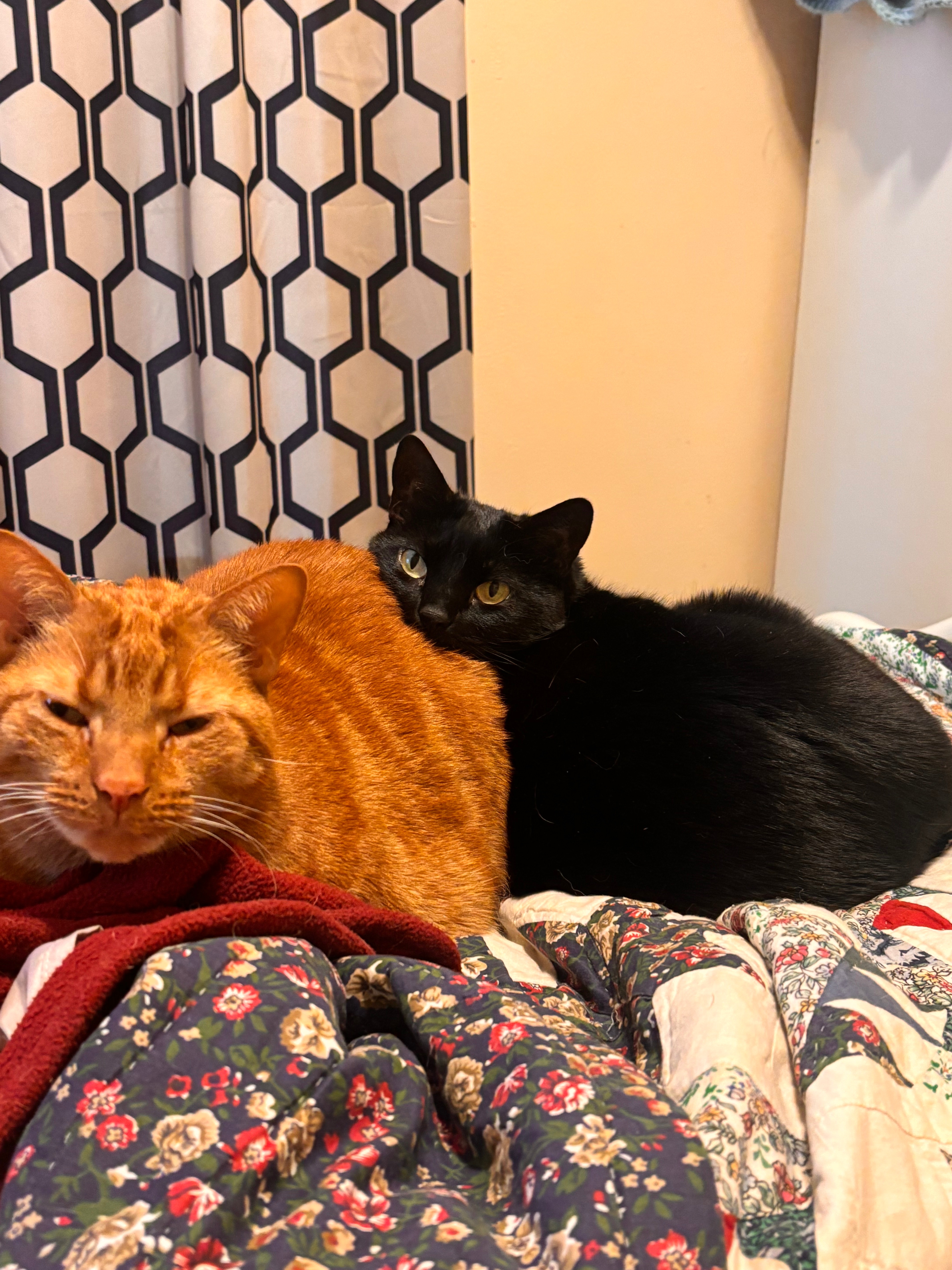 Support Our Family's Recovery from House Fire campaign photo, 6 of 8