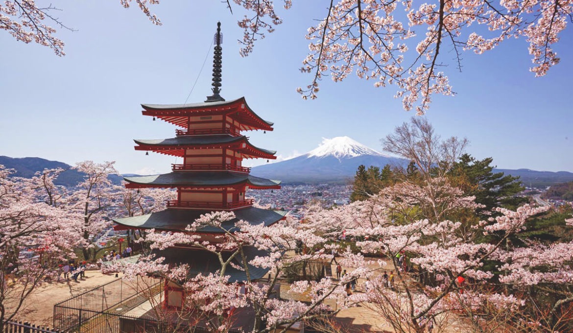 Ein letzter Traum für meinen Bruder: Eine Reise nach Japan ❤ campaign photo, 2 of 6