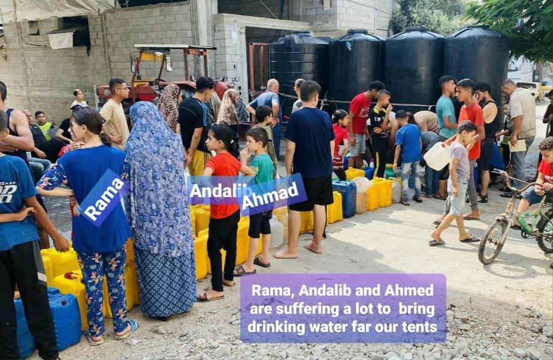 Liebe, Heim, Essen, Wasser und Fürsorge für 6 Waisen in Gaza campaign photo, 2 of 8