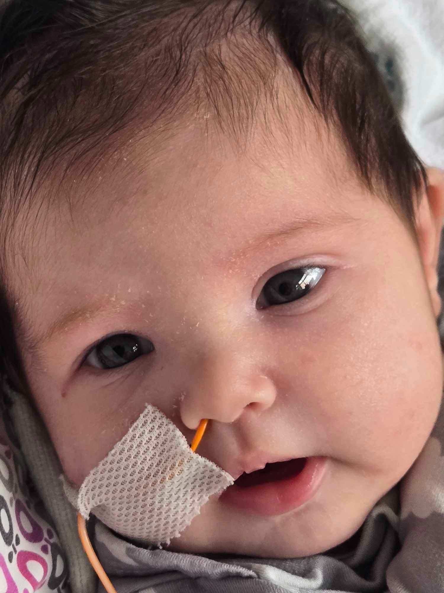 Help Mia's Family Overcome Hardship campaign photo, 4 of 8