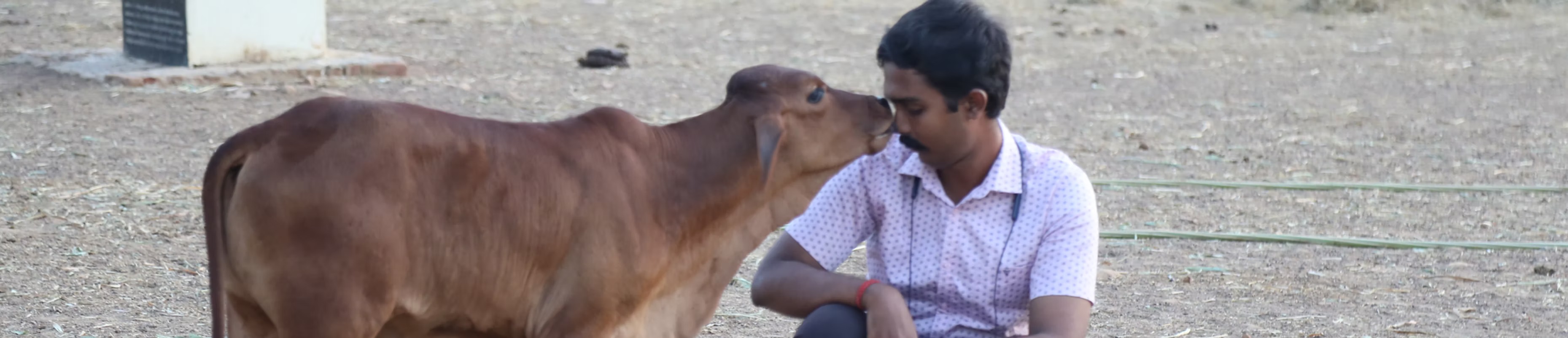 Help Feed & Heal Rescued Animals @Almighty Animal Sanctuary campaign photo, 4 of 5
