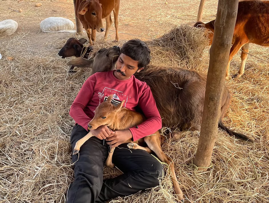 Help Feed & Heal Rescued Animals @Almighty Animal Sanctuary campaign photo, 2 of 5