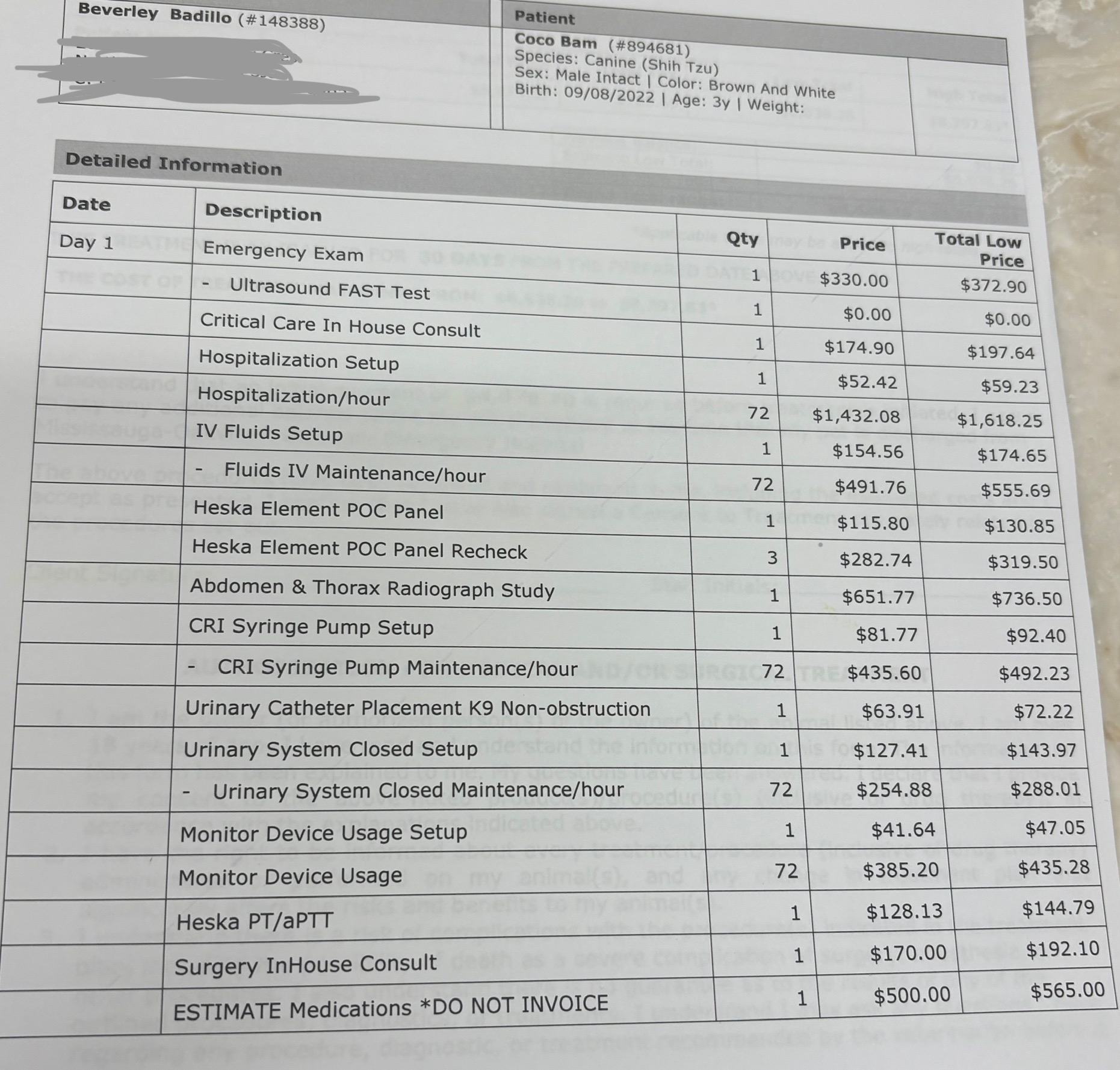 Medical Bills for our Coco campaign photo, 4 of 8