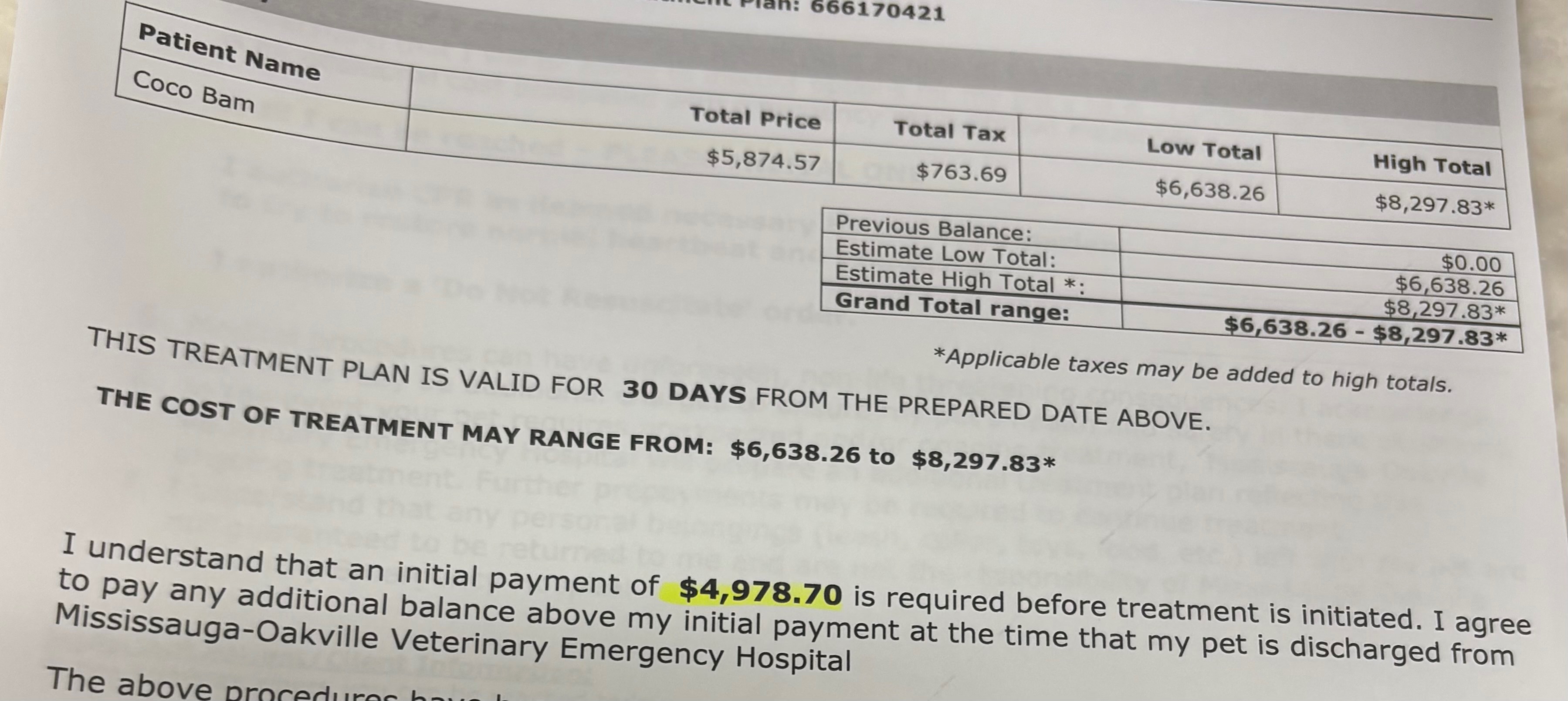 Medical Bills for our Coco campaign photo, 5 of 8