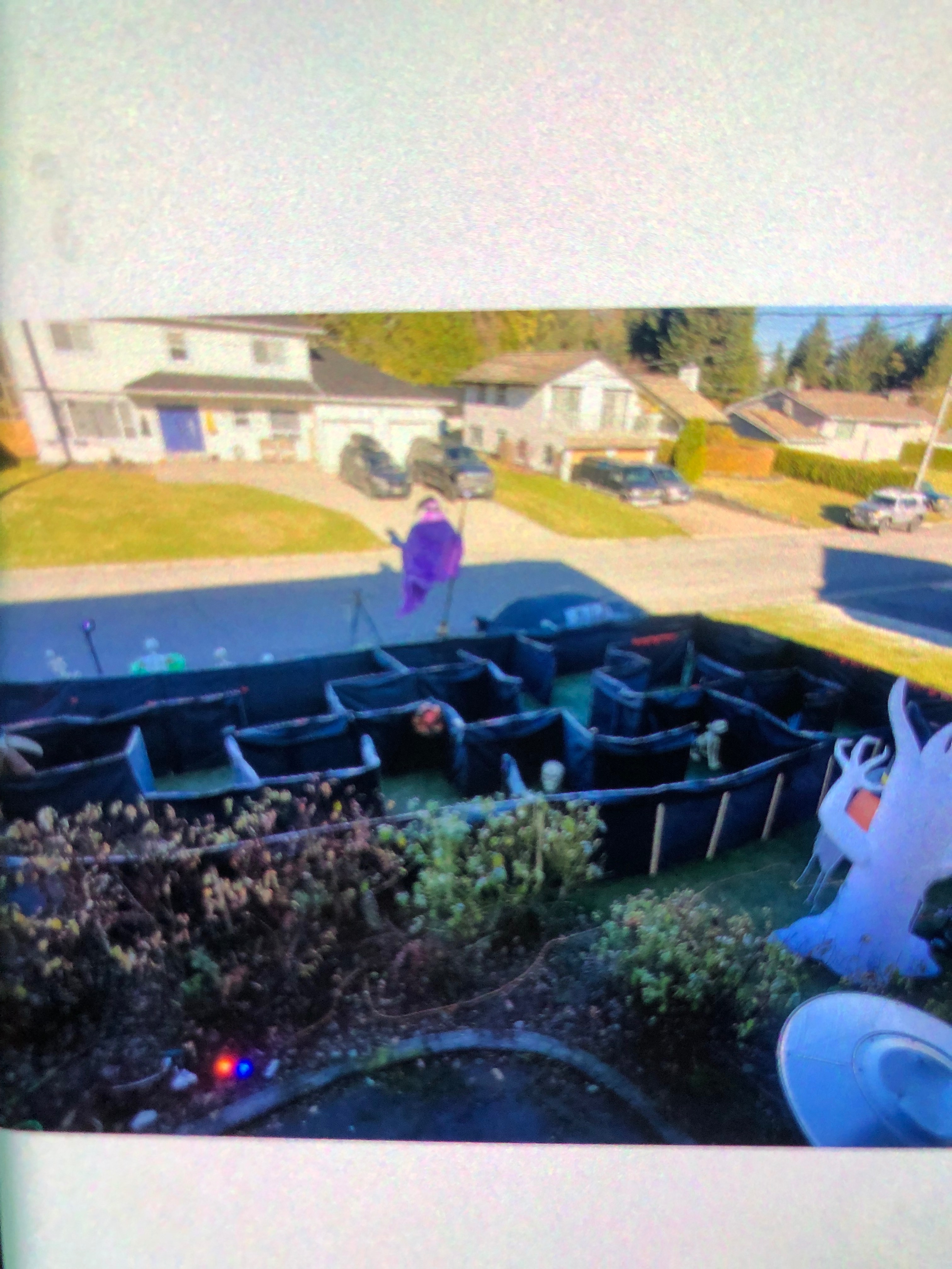 Bring the Giant Halloween Maze to Life! campaign photo, 4 of 6