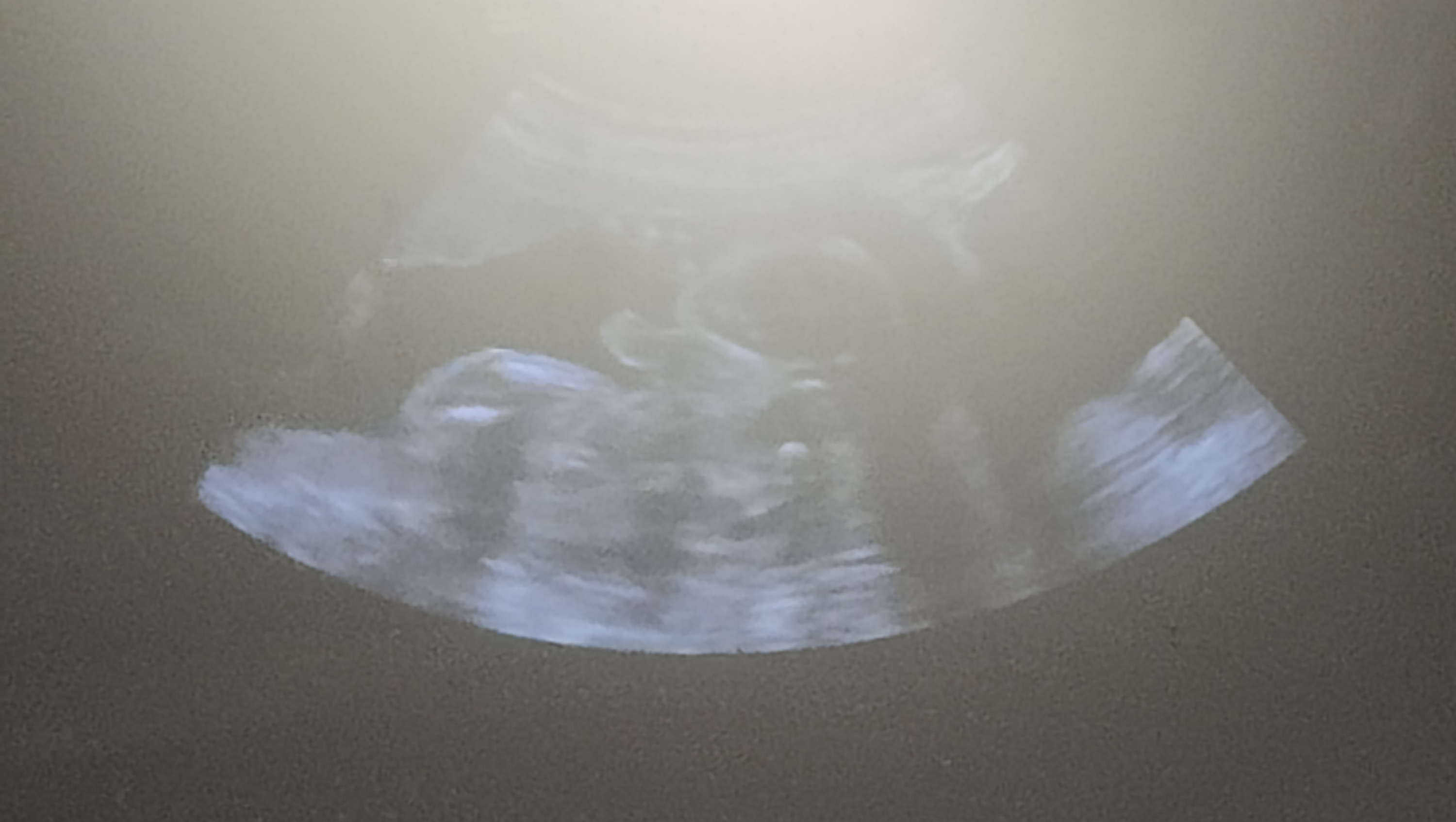 Join Us in Celebrating Our Baby's True Self photo