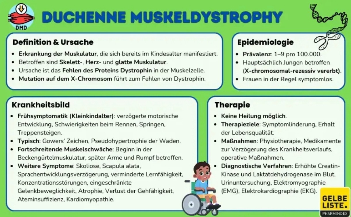 Mit Duchenne mobil: elektrische Trittstufe für Noah campaign photo, 4 of 5