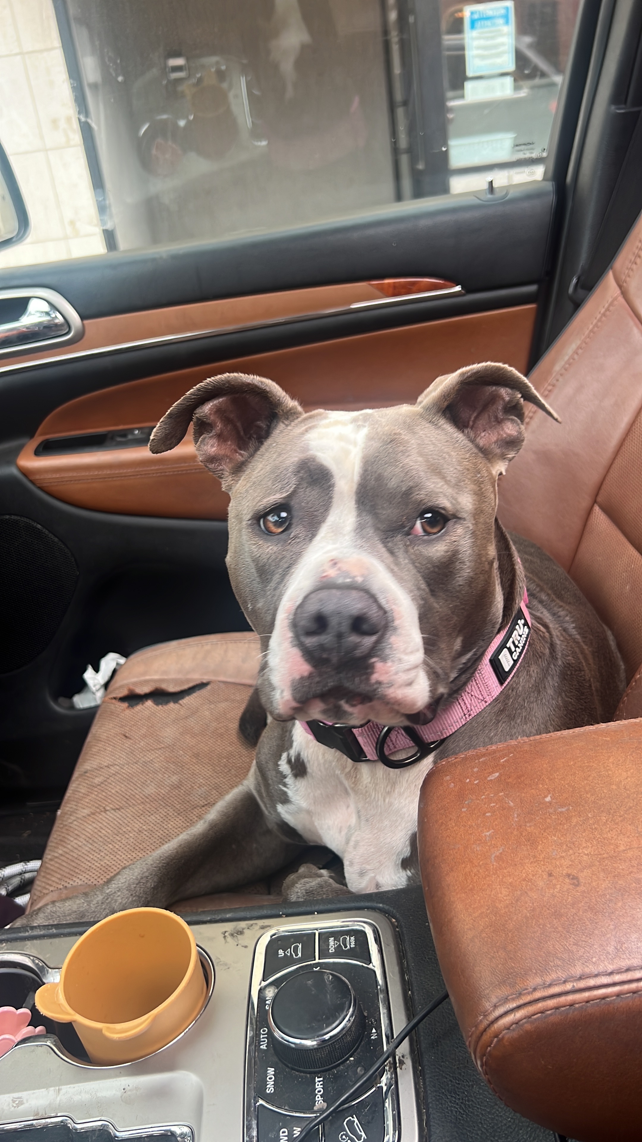Help Grace Walk Again: Urgent Surgery Needed campaign photo, 4 of 8