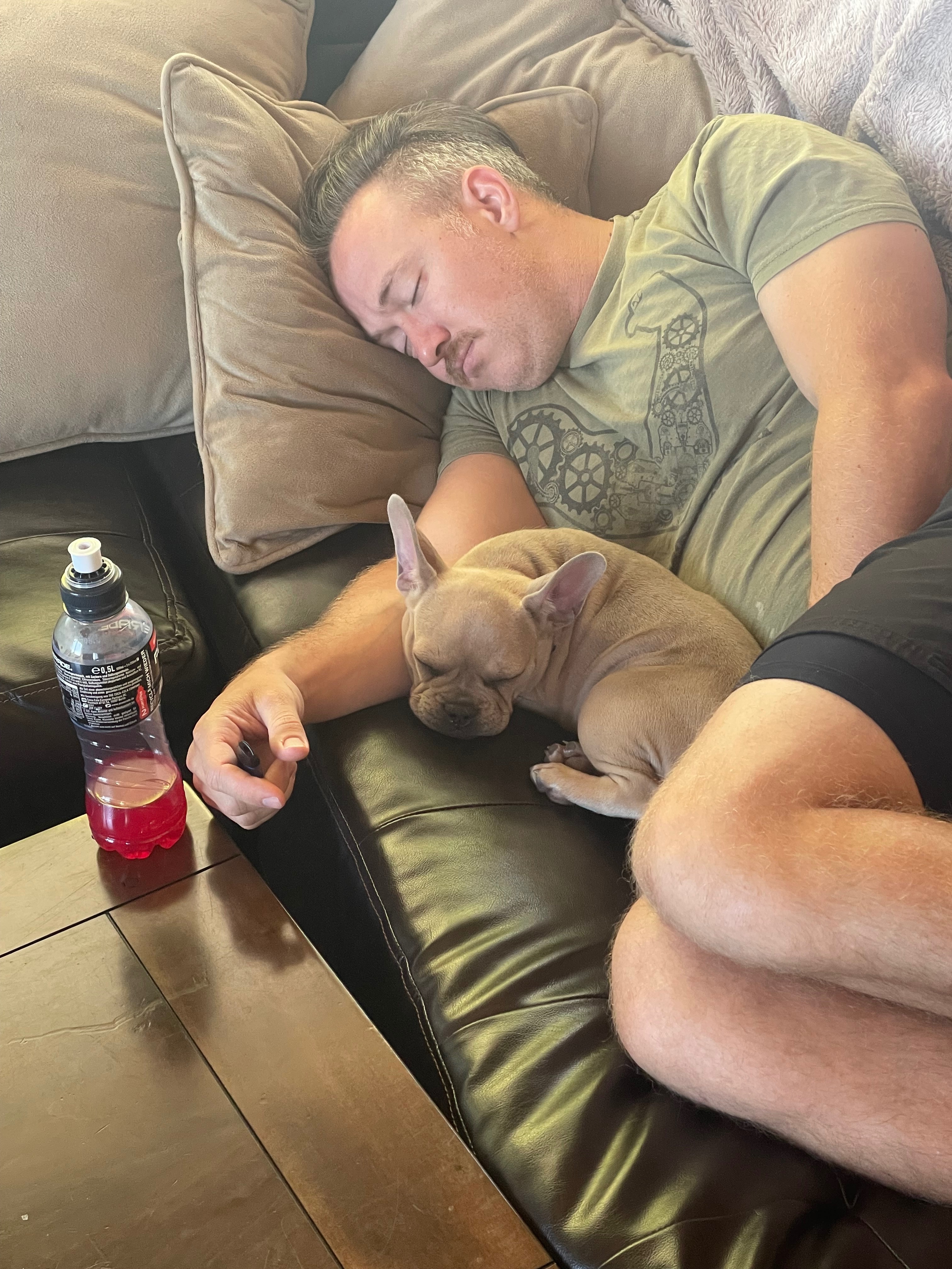 A Veteran’s Dog Saved Him Now She Needs Life Saving Surge campaign photo, 6 of 7