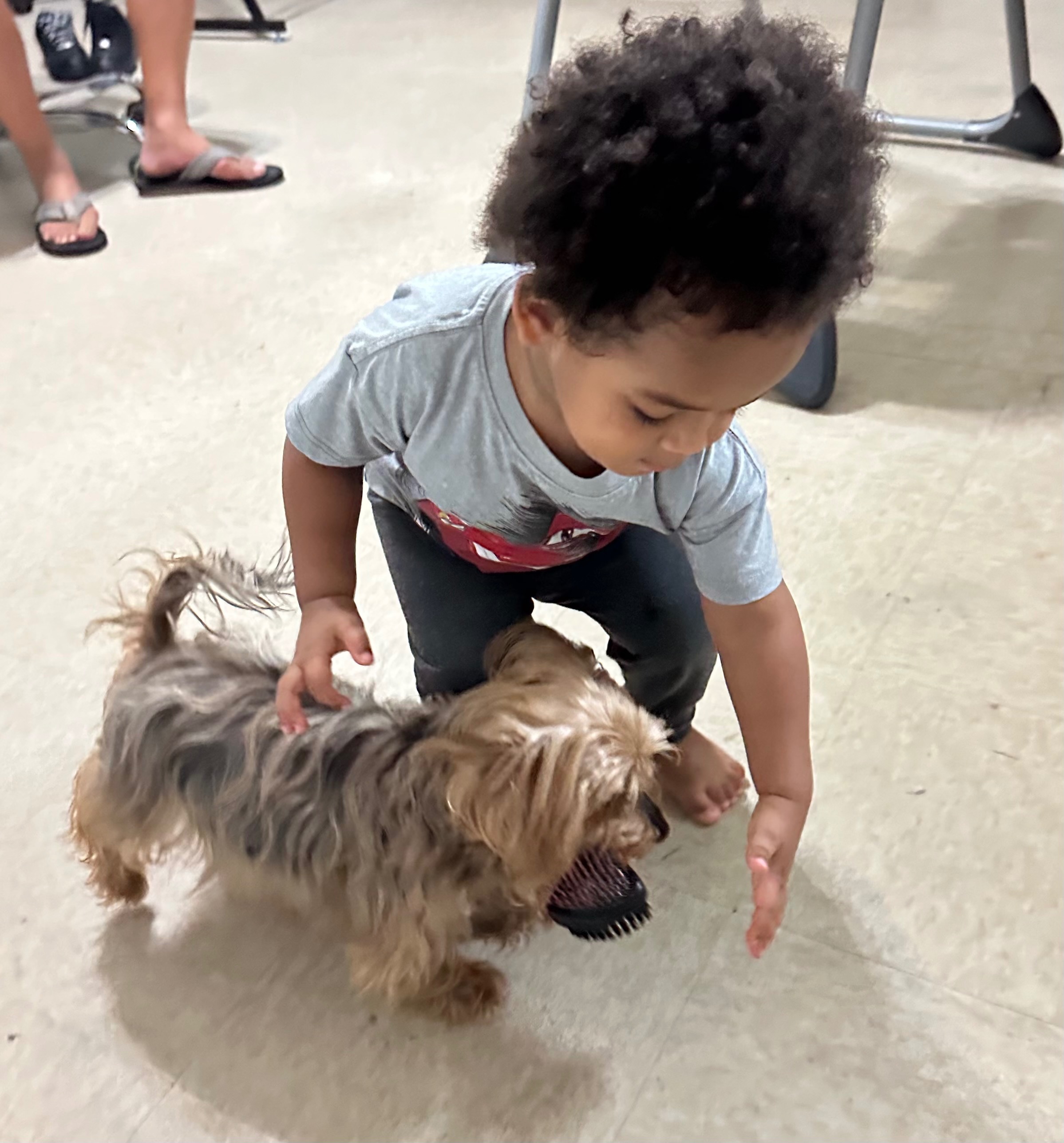 Donate to Minnie’s Life-Saving Amputation campaign photo, 2 of 4