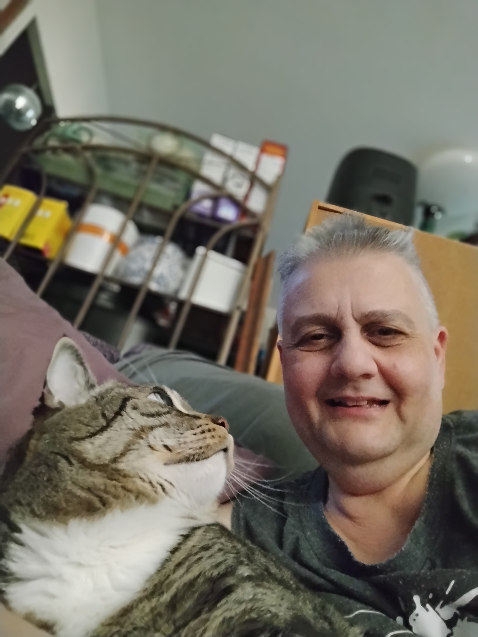 Help Josie Pay Smudge’s Vet Bills & Continue Rescuing Cats campaign photo, 5 of 7