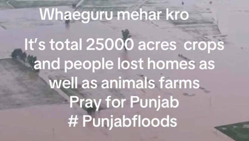 Together for PUNJAB: every rupee counts photo