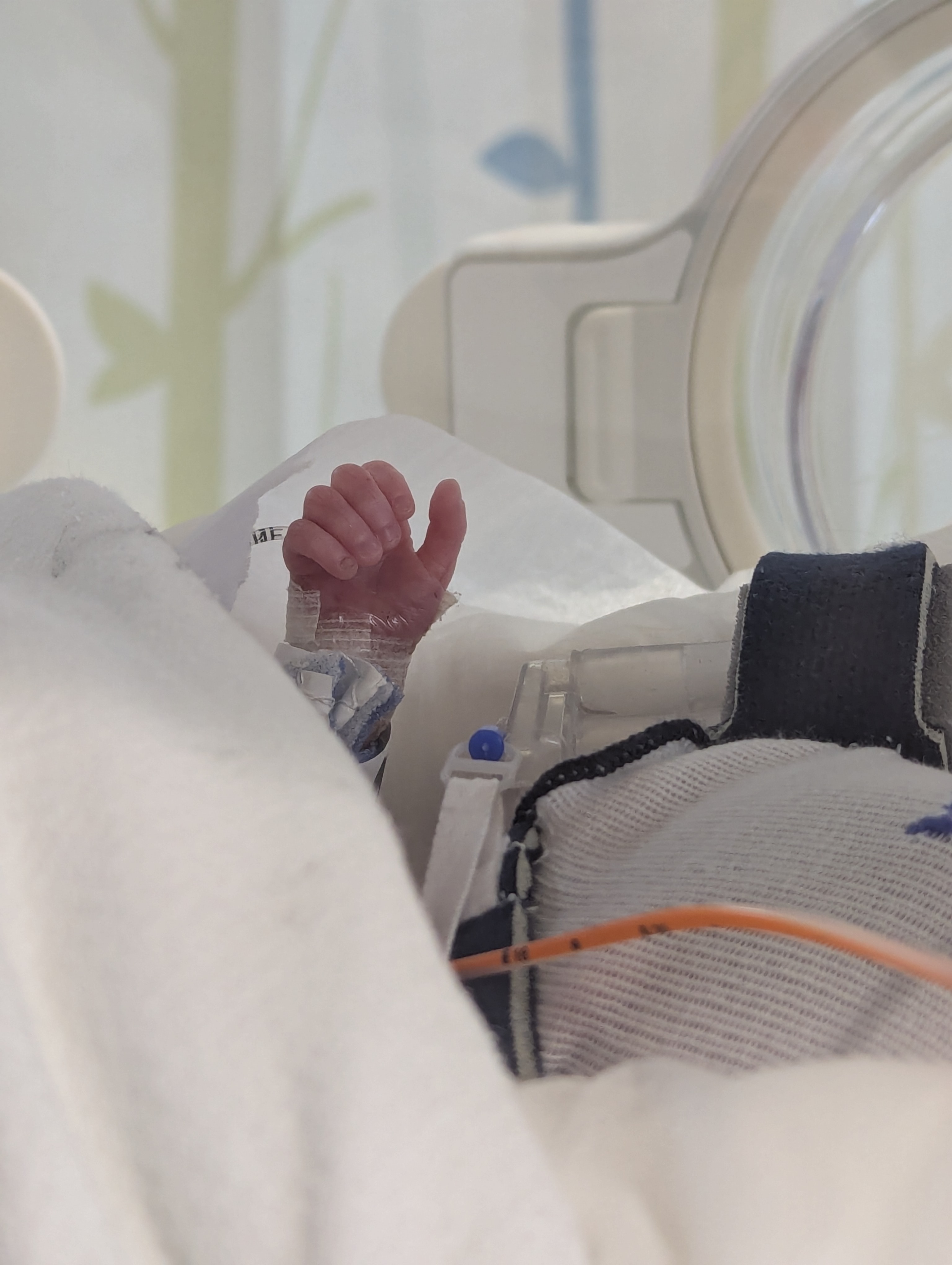 Support Beckett's NICU Journey campaign photo, 6 of 8