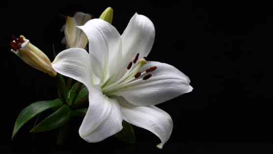 For my mother photo