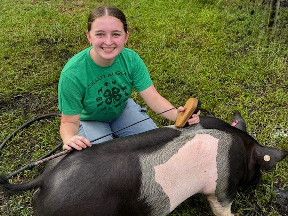 Support Morgan Curry's 4H Market Hog Project campaign photo, 2 of 3