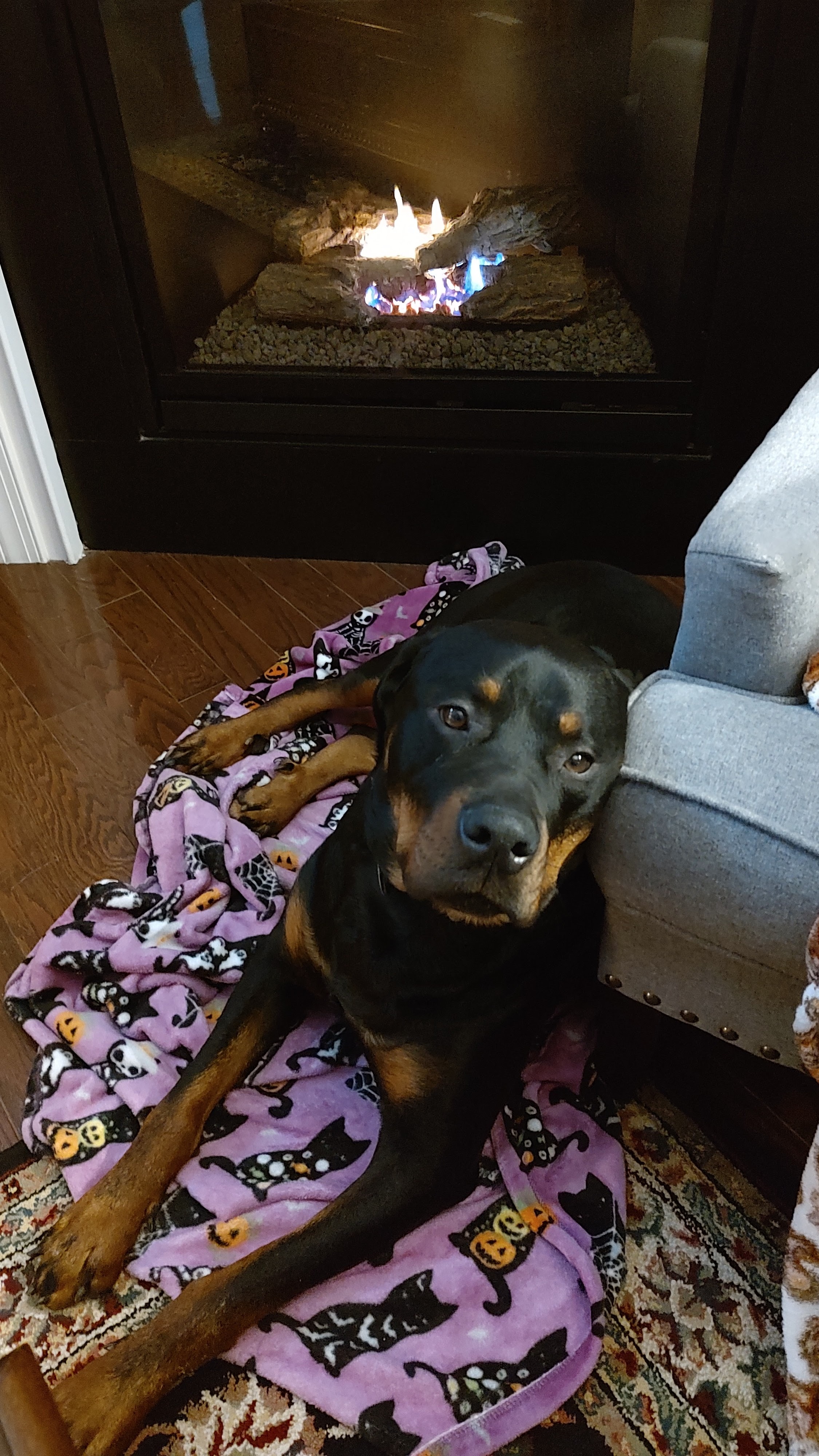 Help Marcus Fund a New Battle Buddy campaign photo, 2 of 6