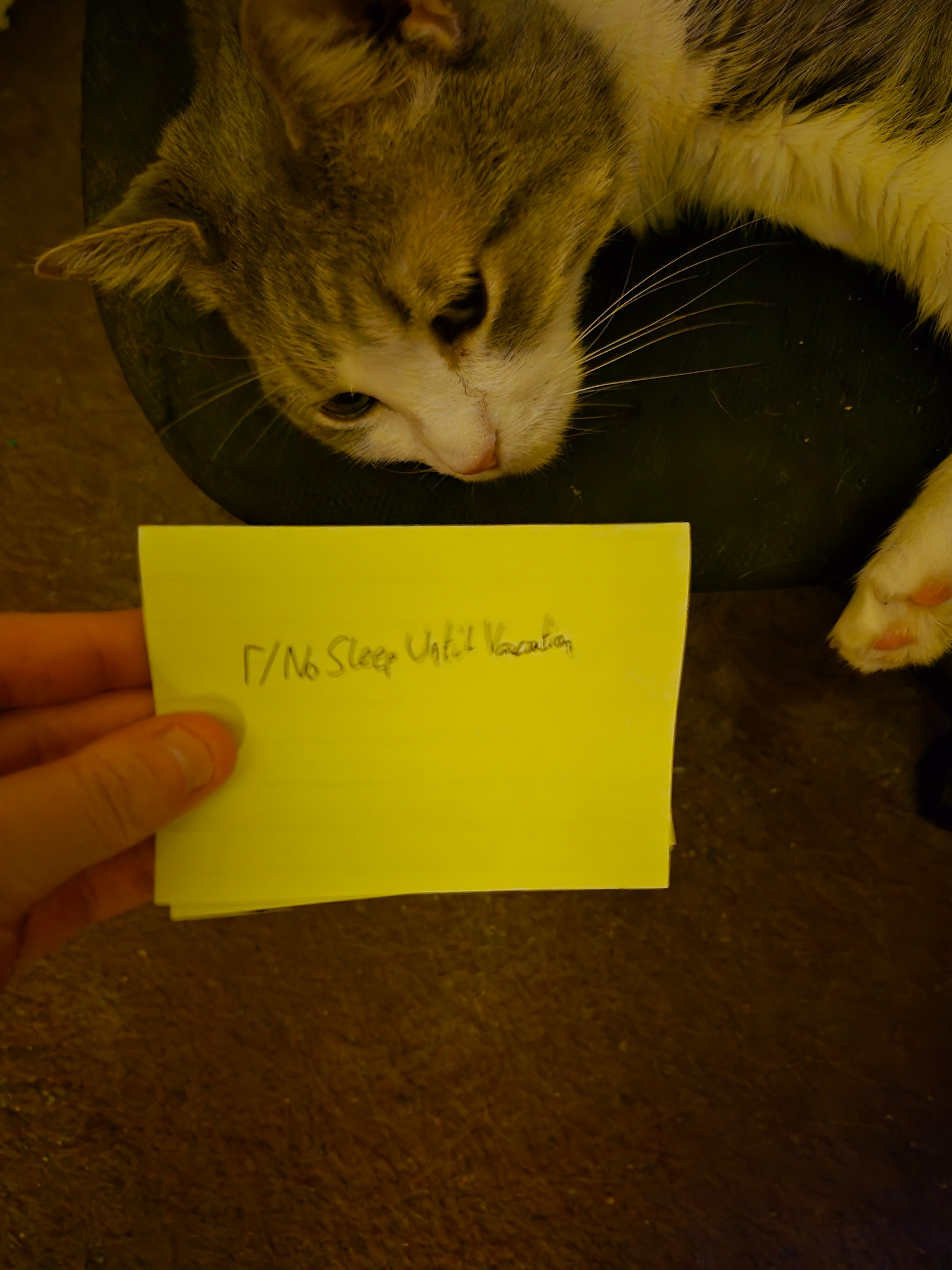 URGENT: Help Our Family Pay Rent and Utilities! campaign photo, 2 of 6