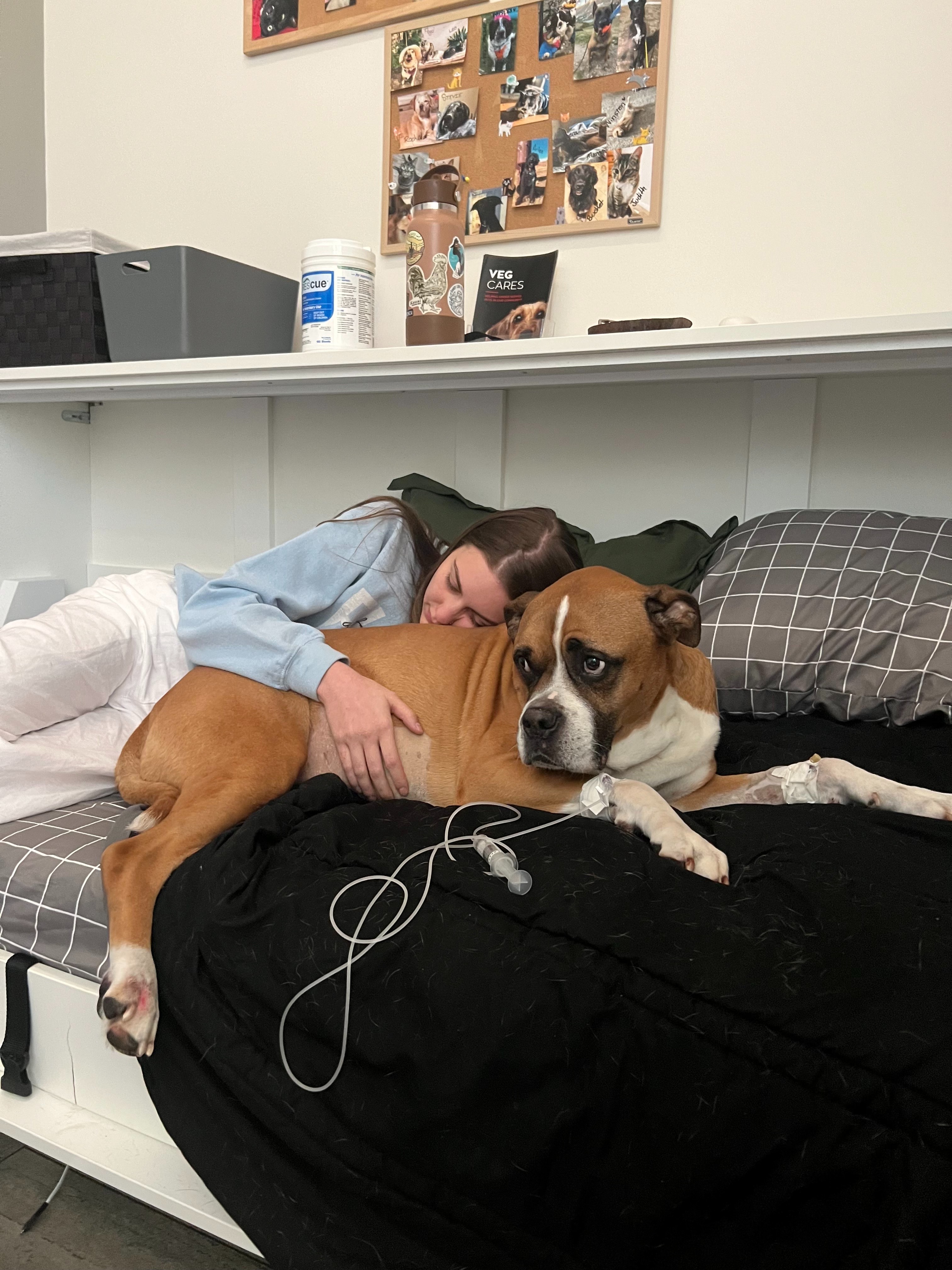 Help Adia with Boomer's Medical Bills campaign photo, 6 of 8