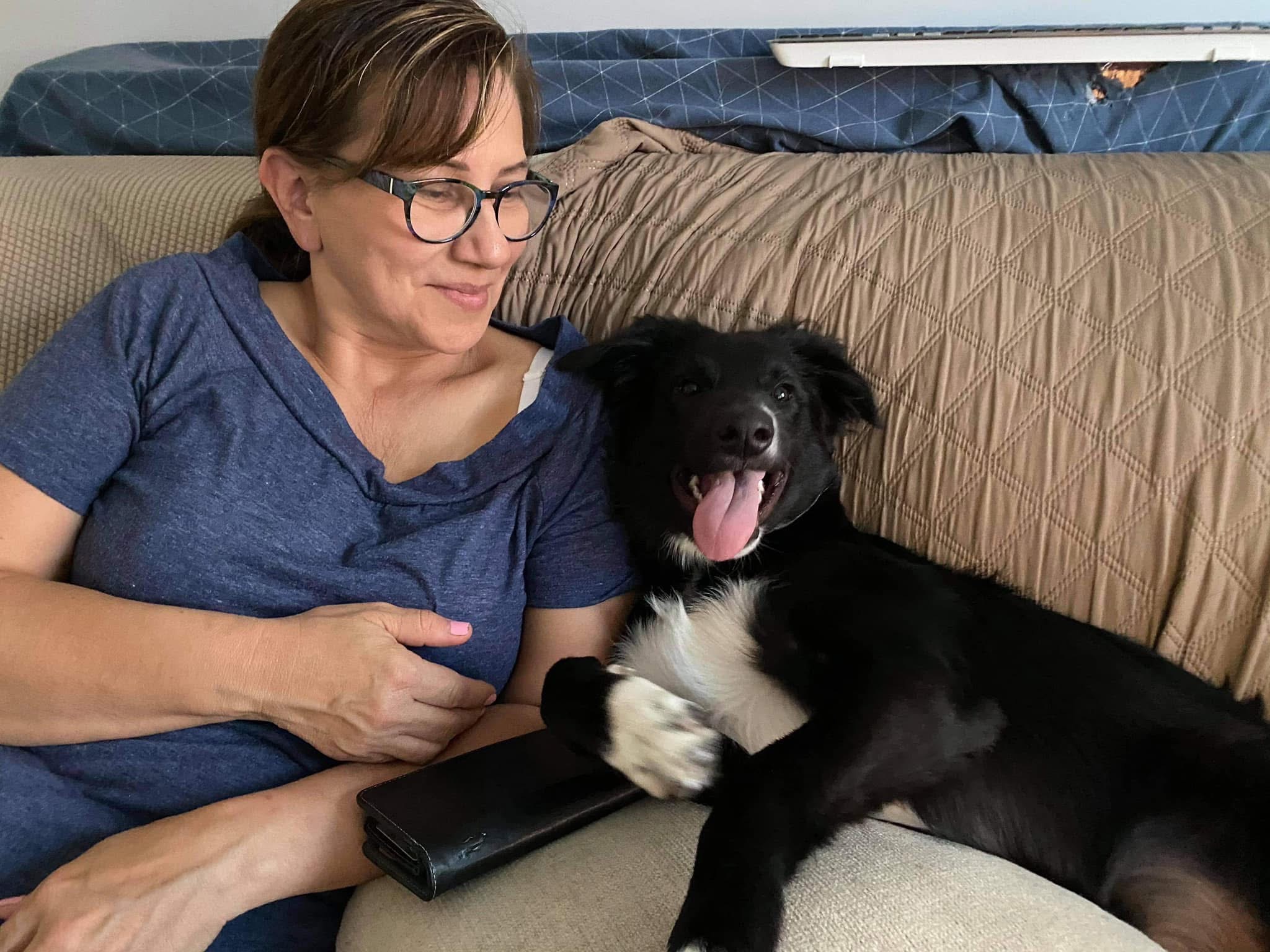 Help Apollo Breathe! Emergency Vet Fund campaign photo, 4 of 7