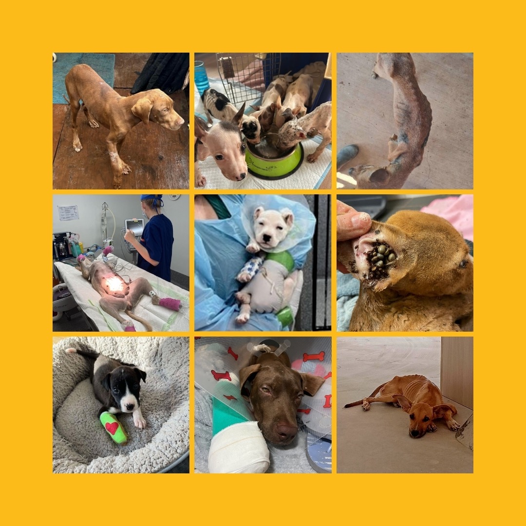 Help Build an Emergency Lifeline Fund campaign photo, 4 of 5