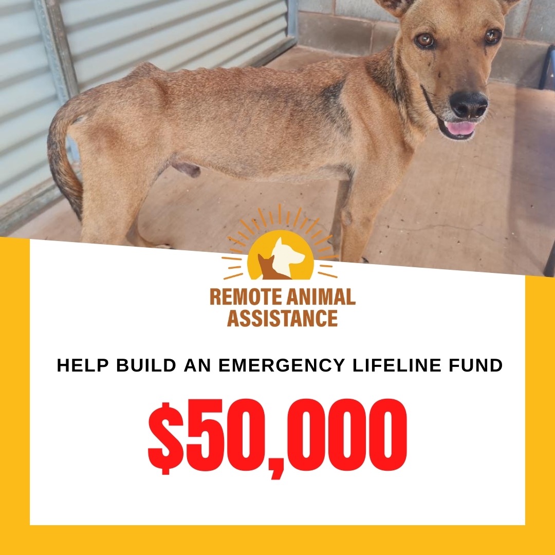 Help Build an Emergency Lifeline Fund campaign photo, 2 of 5