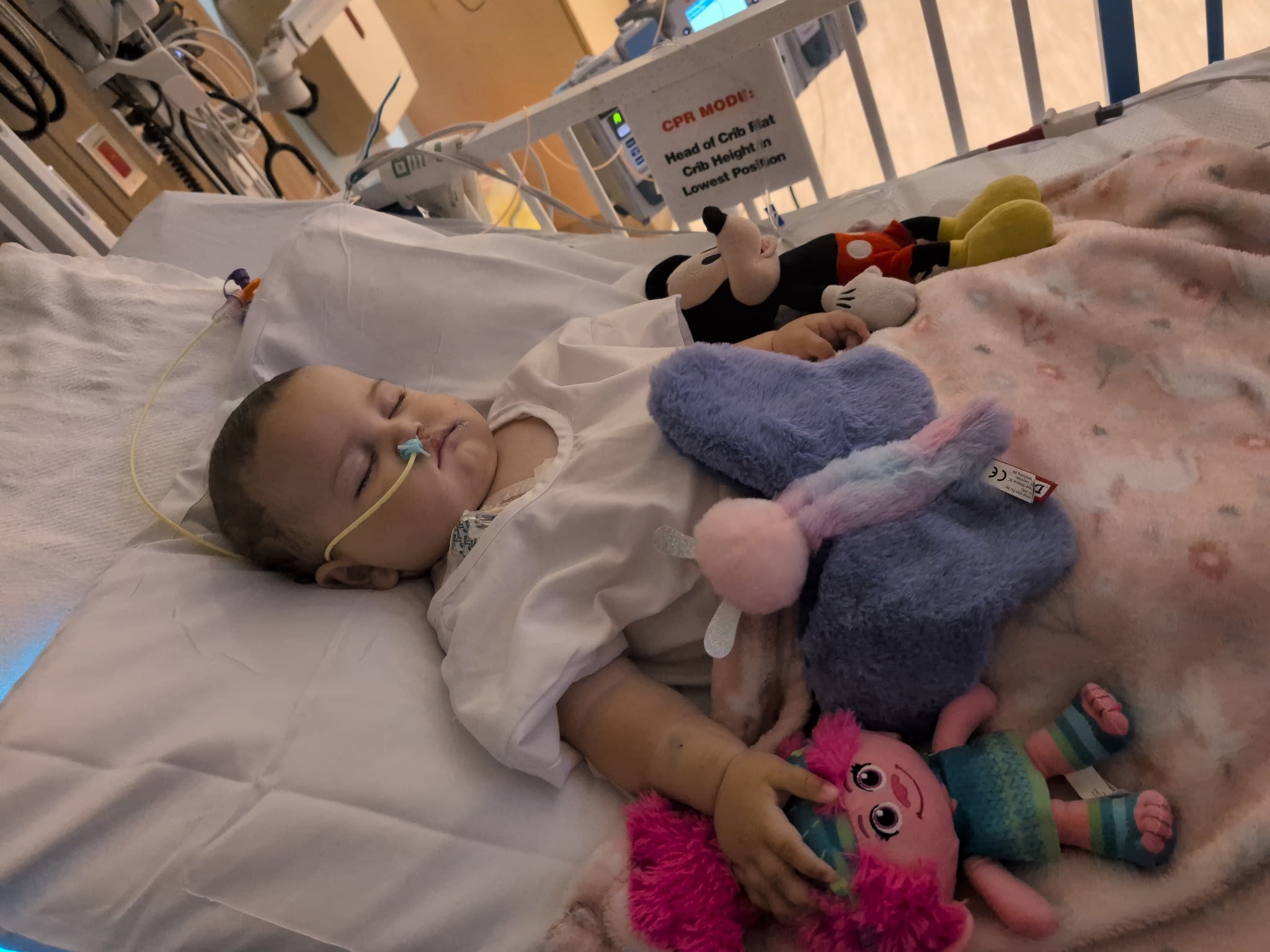 Help Maddie Beat Hepatoblastoma campaign photo, 5 of 6