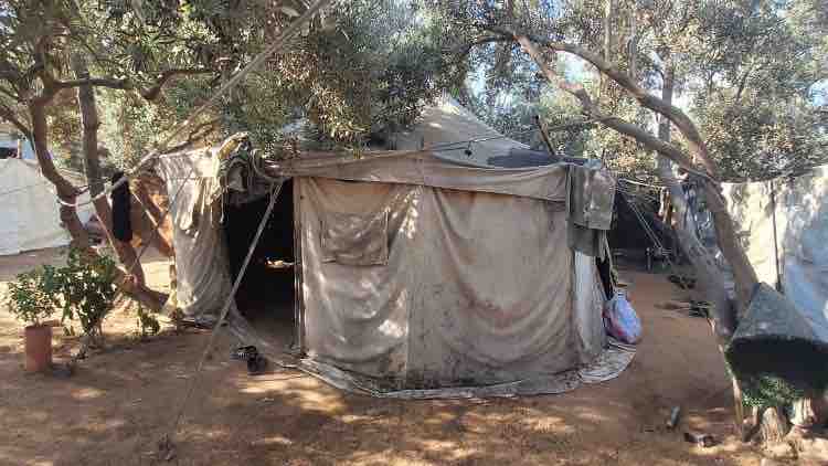 Help a Displaced Family in Gaza Survive the Winter photo