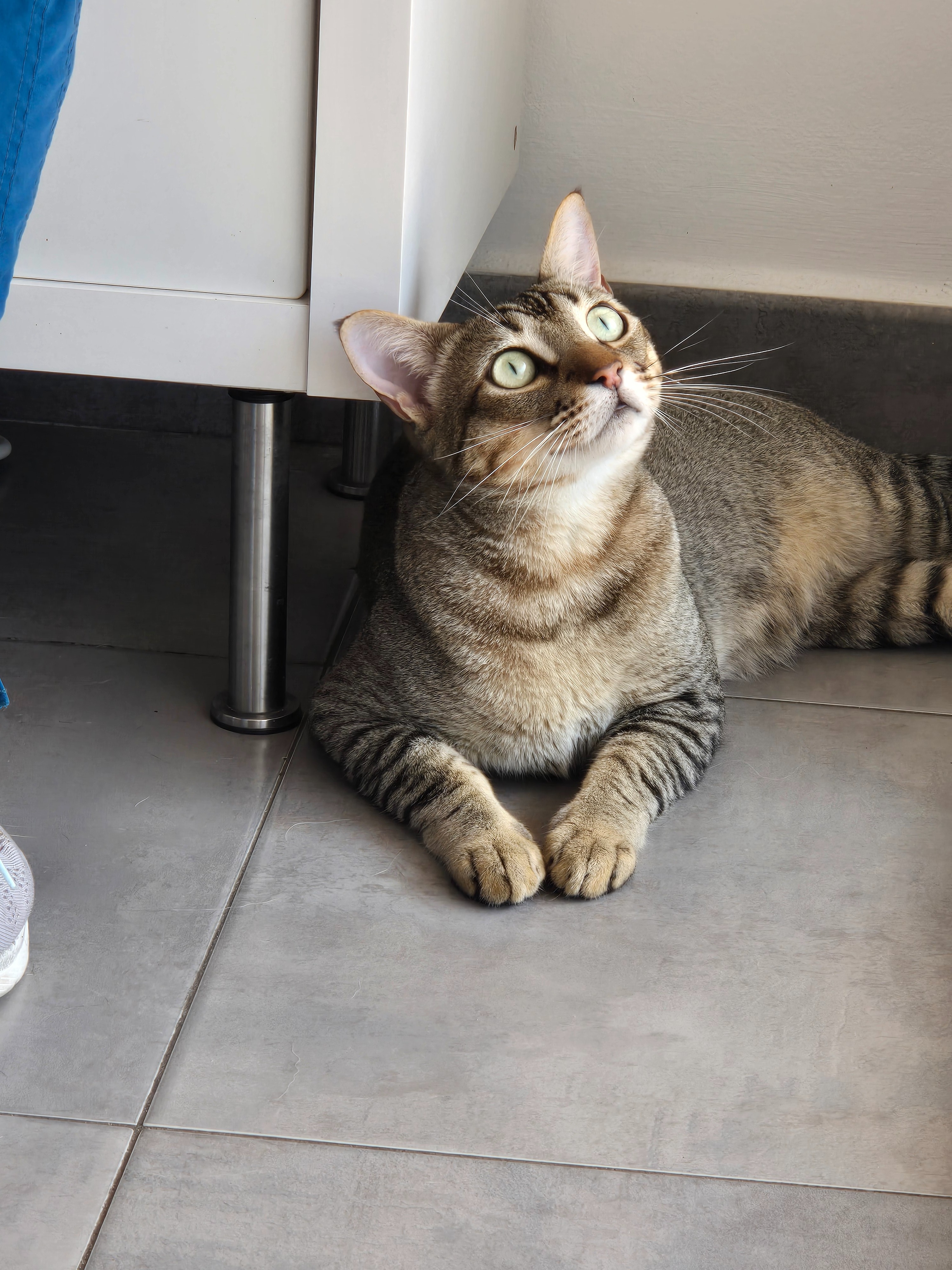 Scar's Leg Surgery campaign photo, 4 of 8