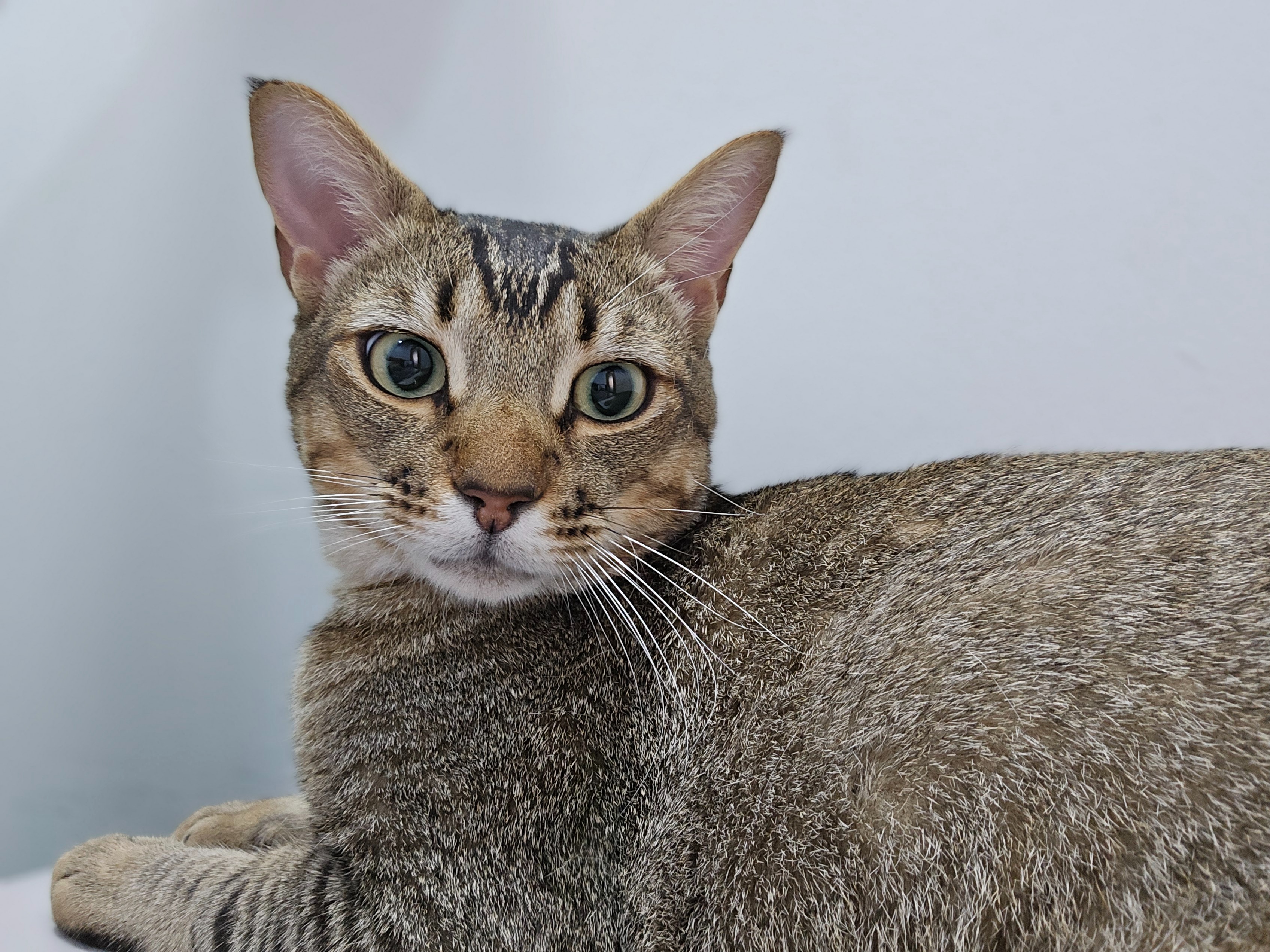 Scar's Leg Surgery campaign photo, 5 of 8