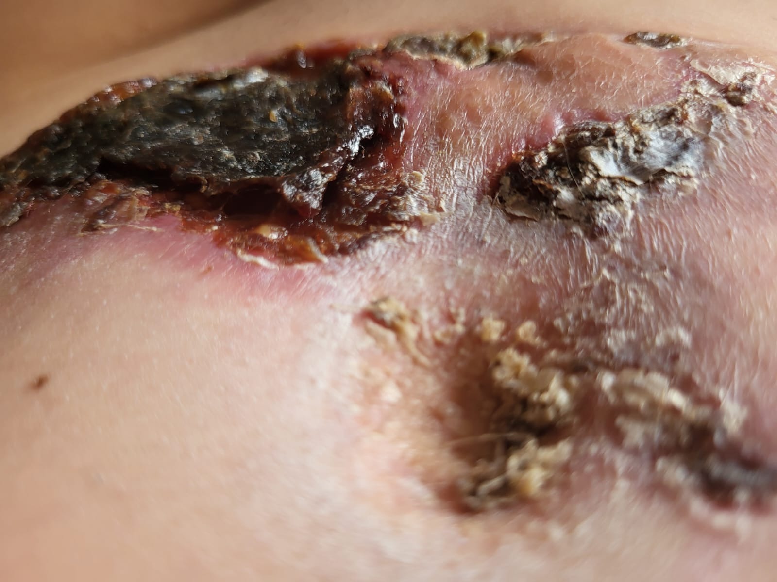 User-uploaded image 2