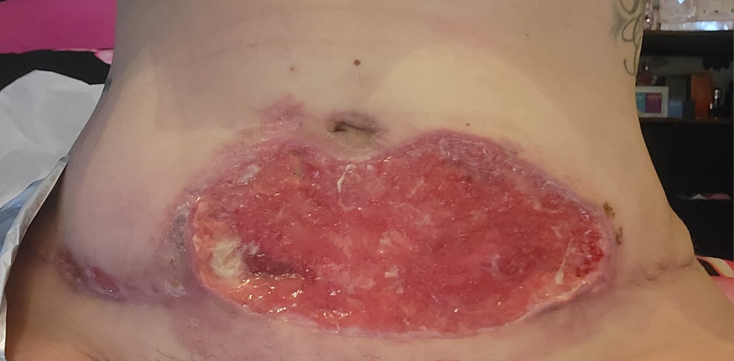 User-uploaded image 5