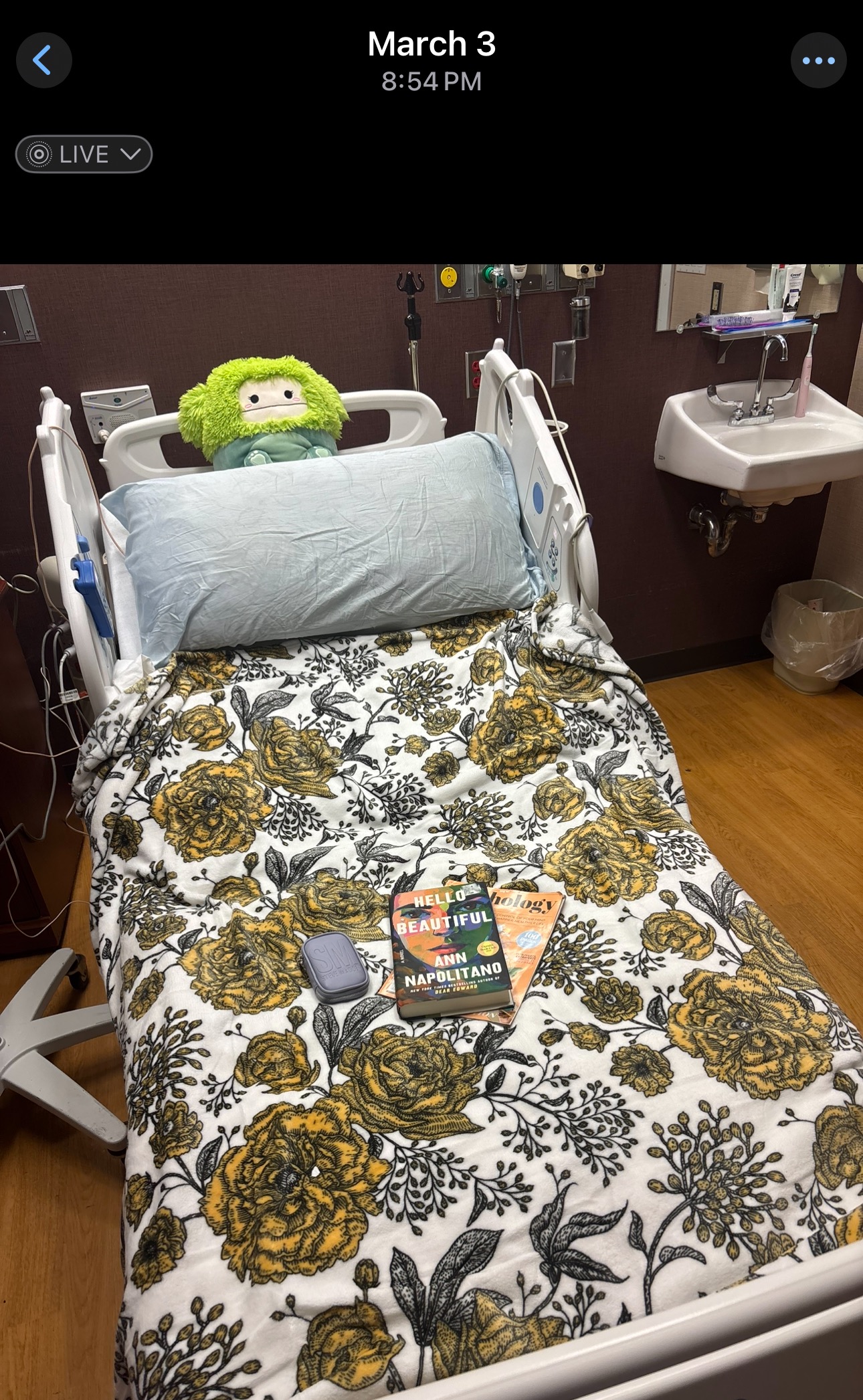 Support For Leah Krull During Medical Emergency campaign photo, 6 of 8