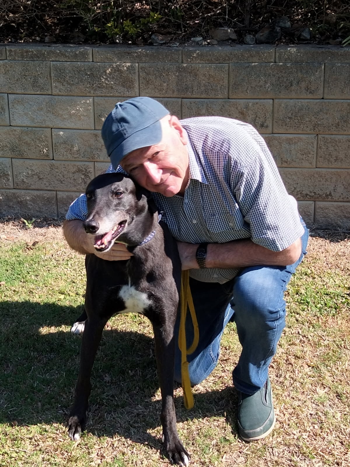Help Viper the Greyhound Breathe Again campaign photo, 4 of 8