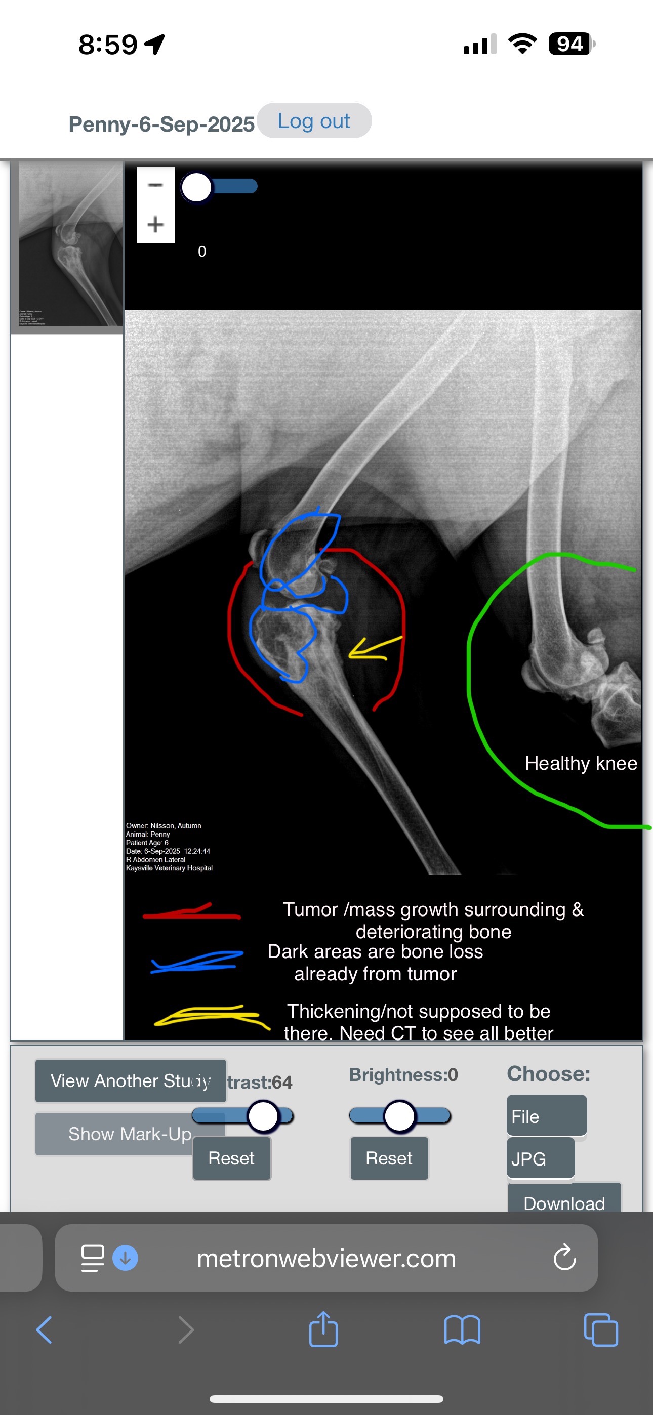 Support Penny's Fight Against Bone Cancer campaign photo, 7 of 8
