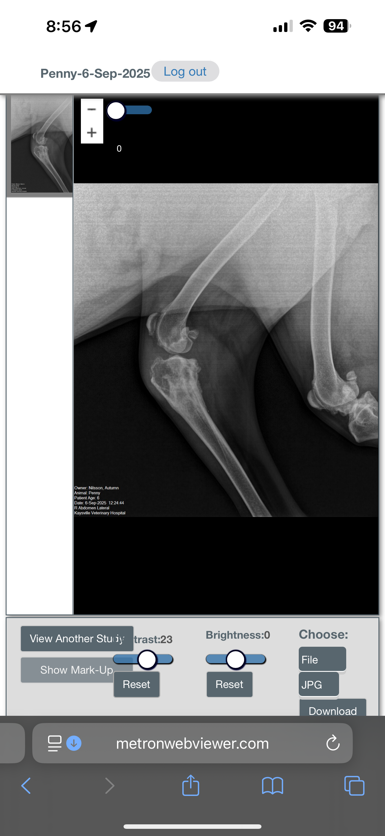 Support Penny's Fight Against Bone Cancer campaign photo, 4 of 8