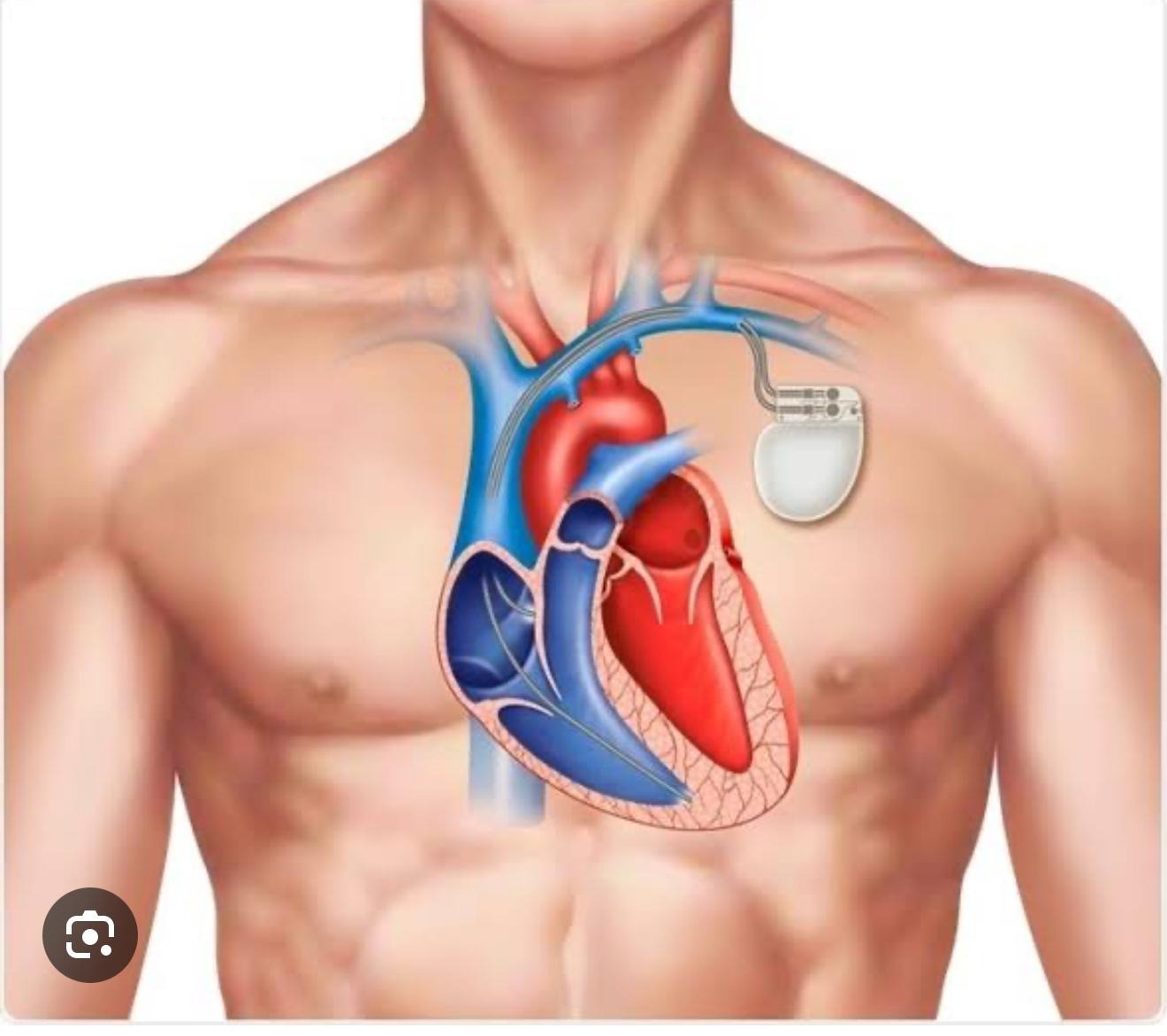 User-uploaded image 1