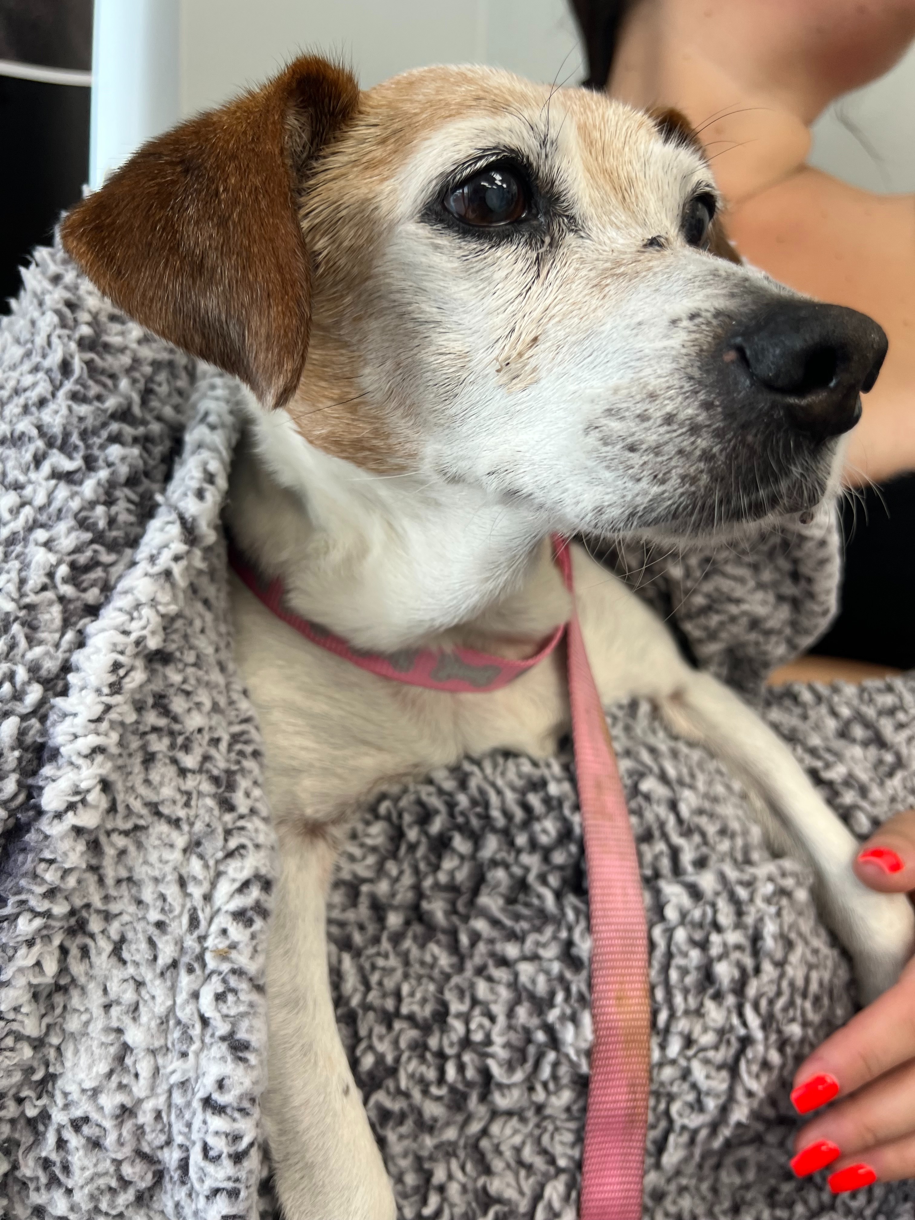 Give This 8 Year Old Babygirl A Second Chance At Life campaign photo, 2 of 7
