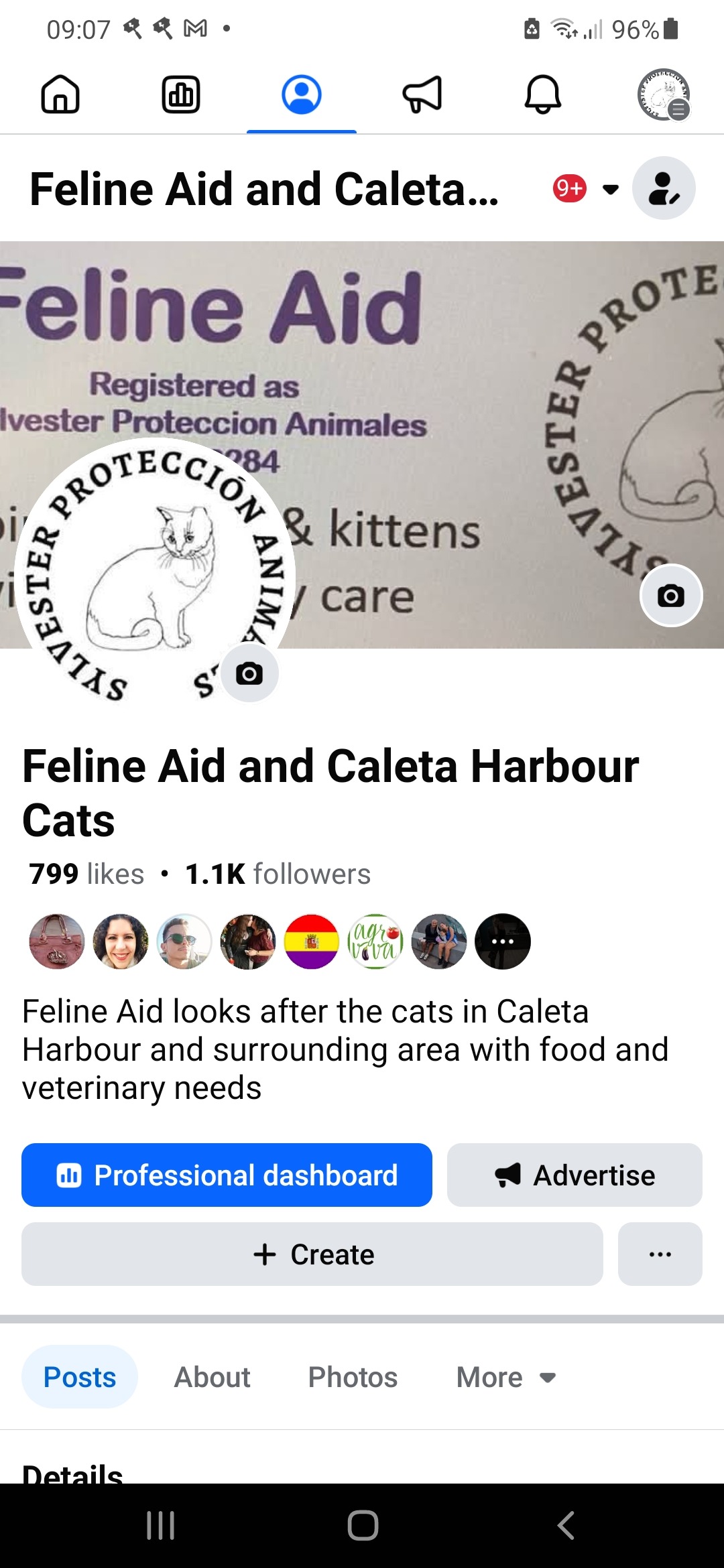 FELINE AID AND CALETA HARBOUR CATS - FUERTEVENTURA campaign photo, 7 of 8