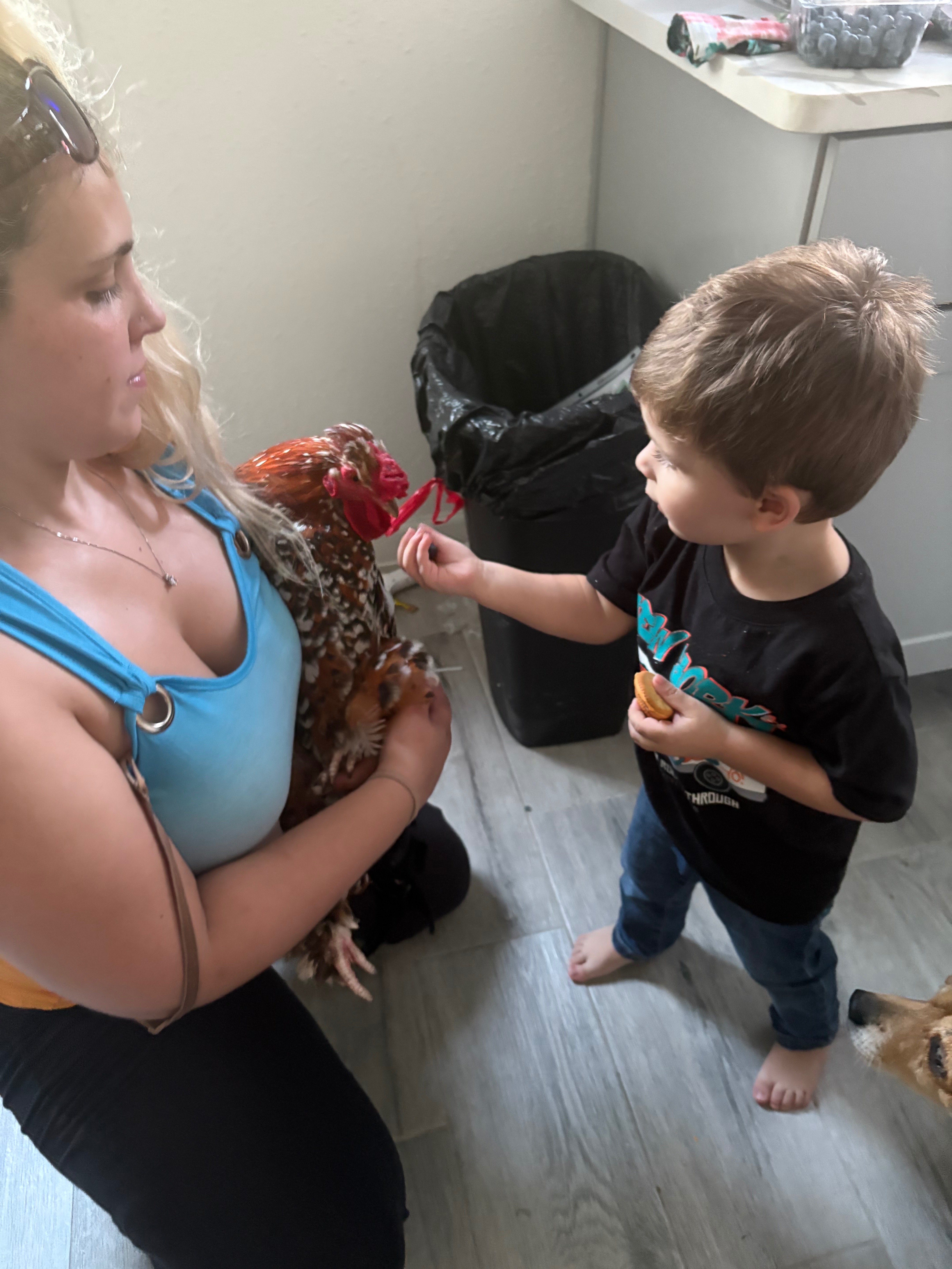 Donate to Save and Shelter Animals in Need campaign photo, 5 of 8