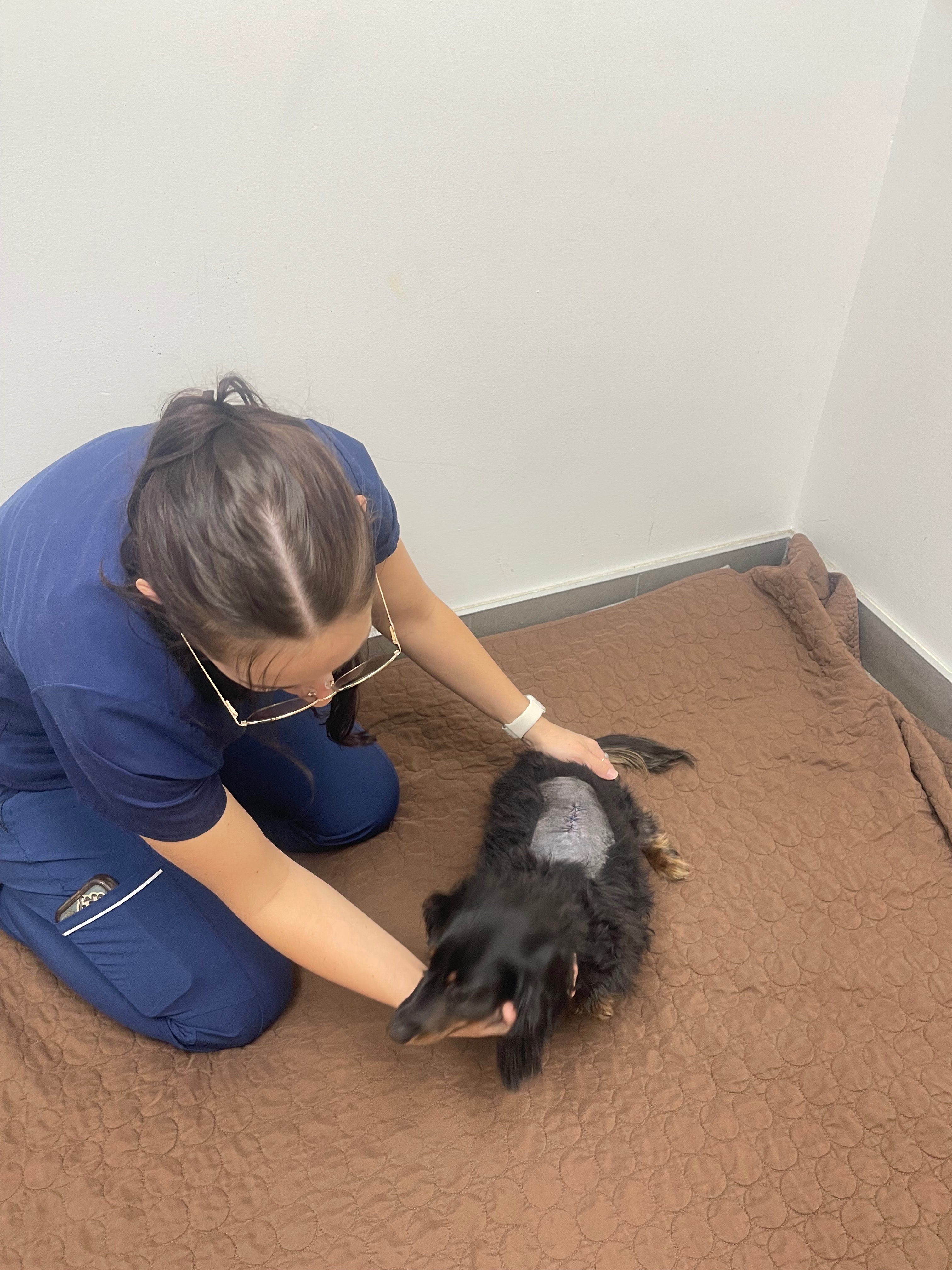 Help Save Pluto – Urgent Surgery Needed campaign photo, 5 of 8