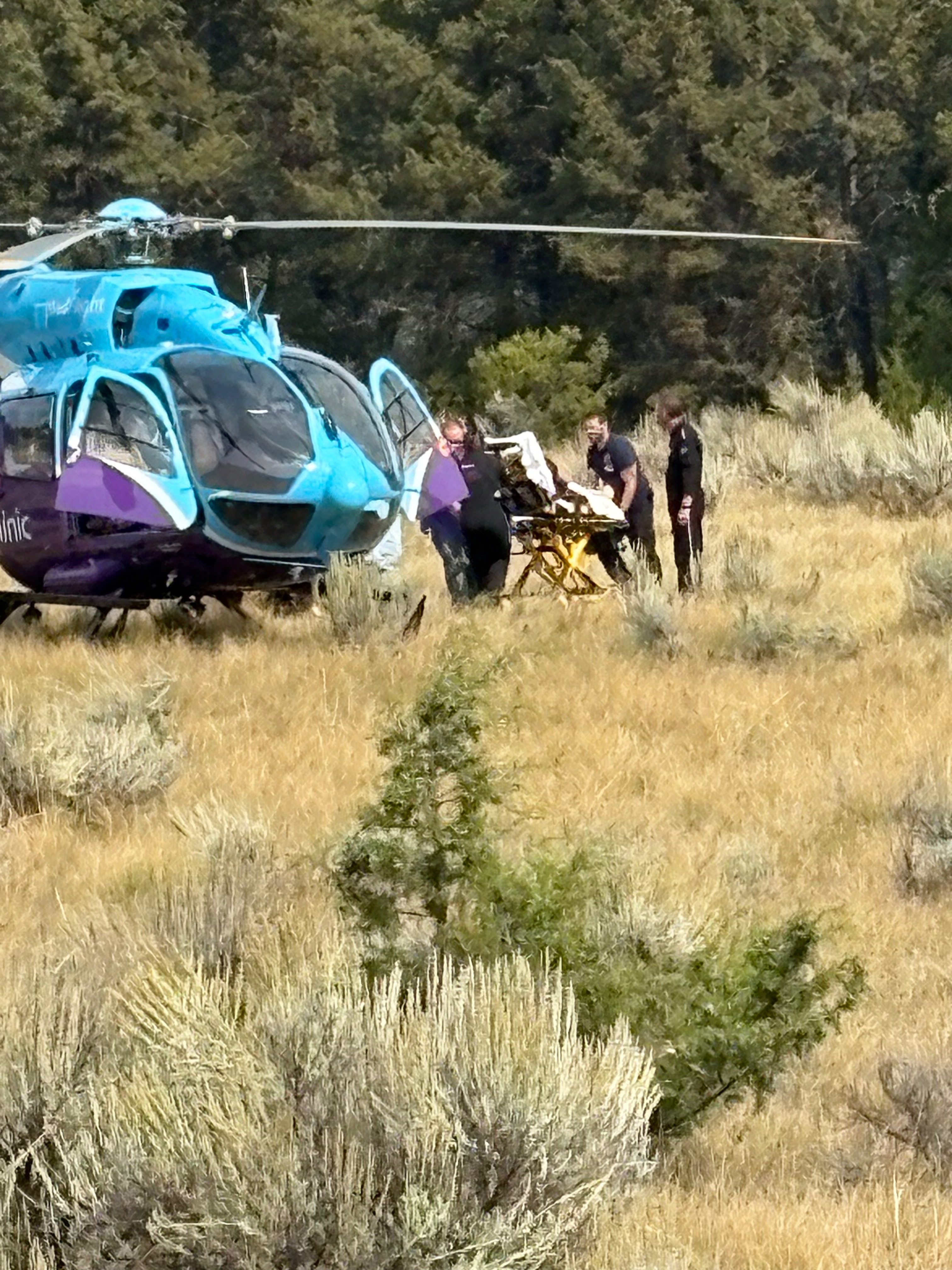 Jackson’s Fight - Veterinary Expenses After Trail Accident campaign photo, 2 of 4