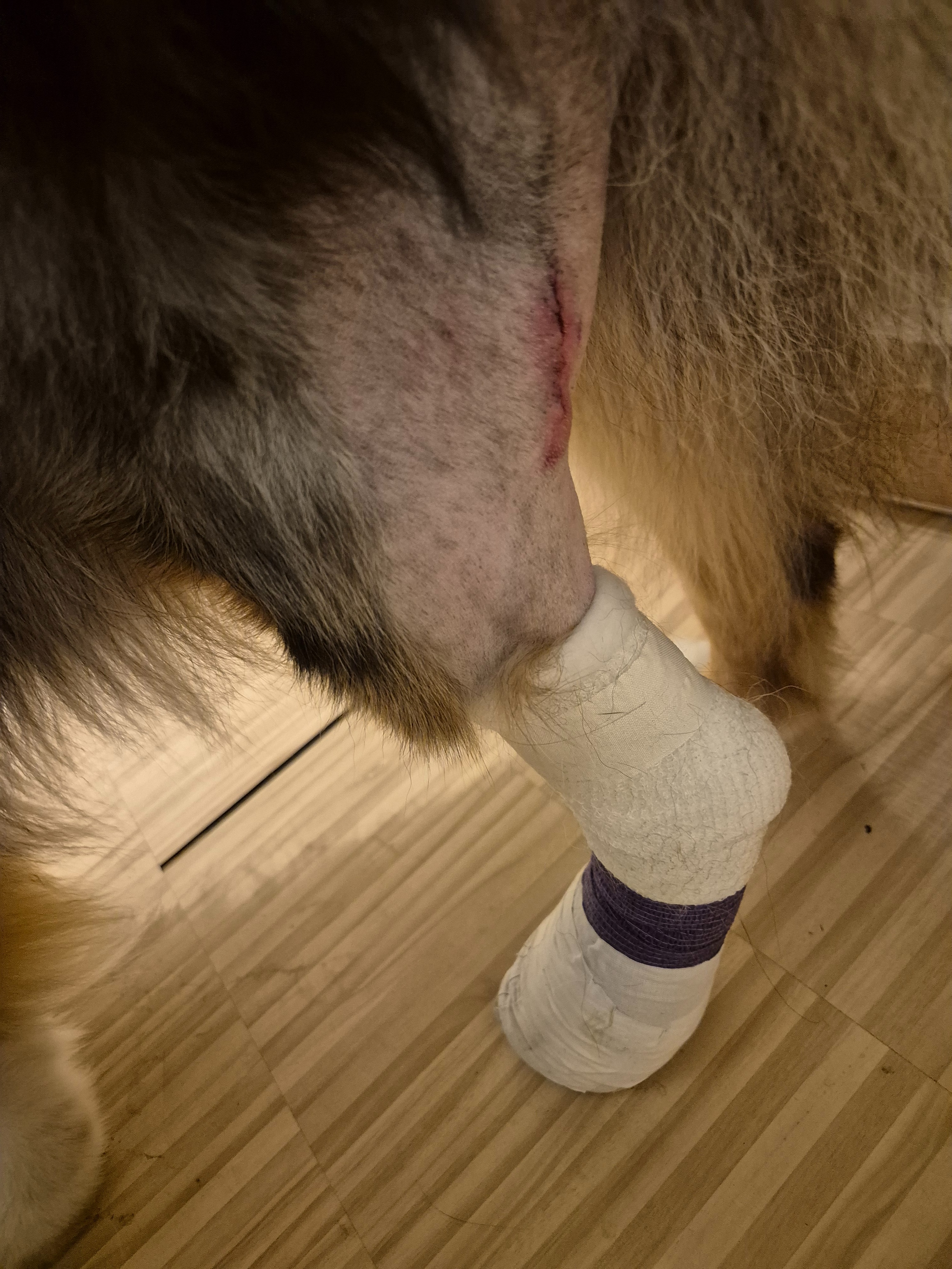 Hilfe für Marty-Kämpfen gegen Schmerzen und unklare Diagnose campaign photo, 4 of 6