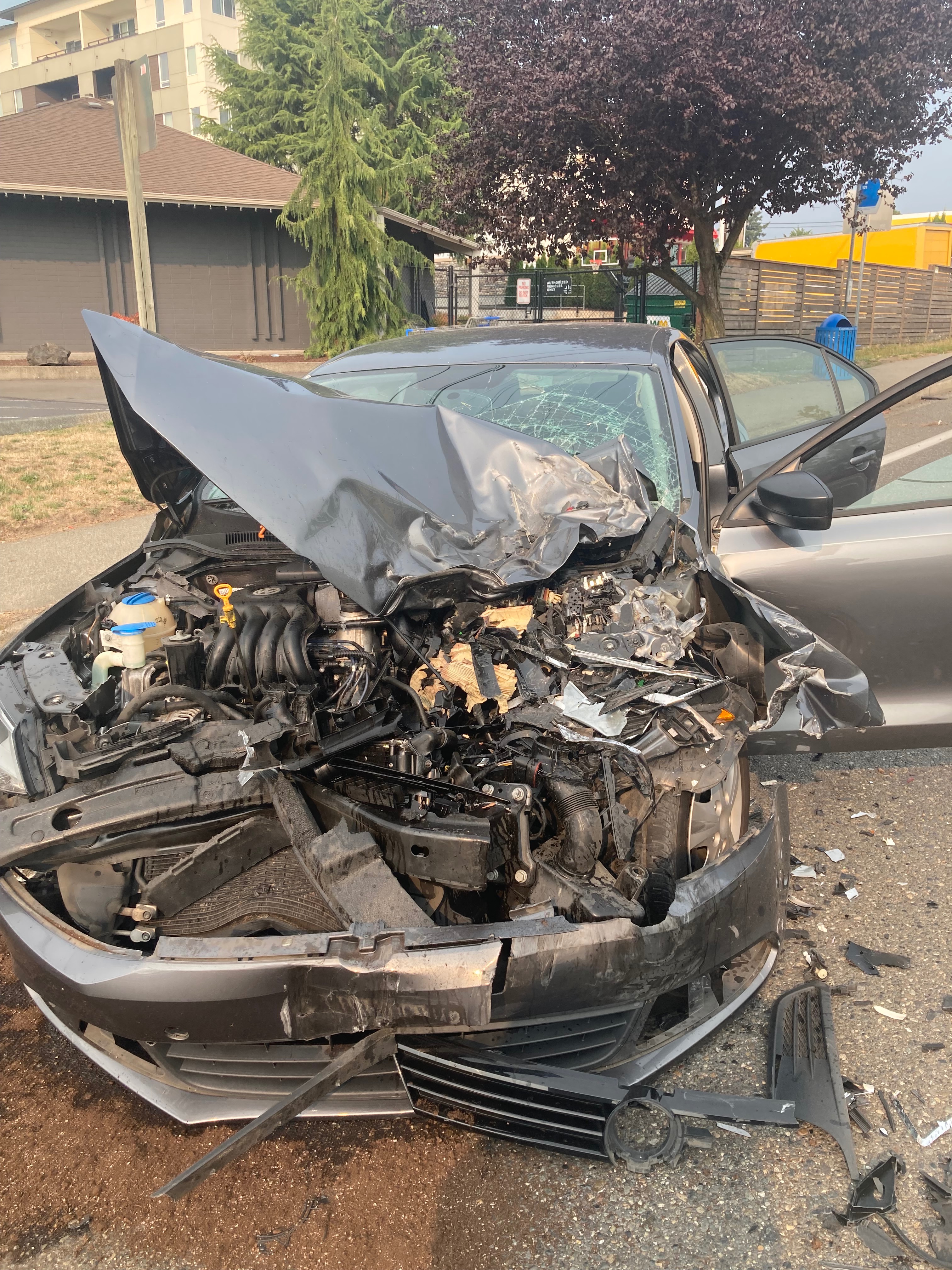 Single Mom & Kids Survive Police Chase Crash campaign photo, 2 of 6