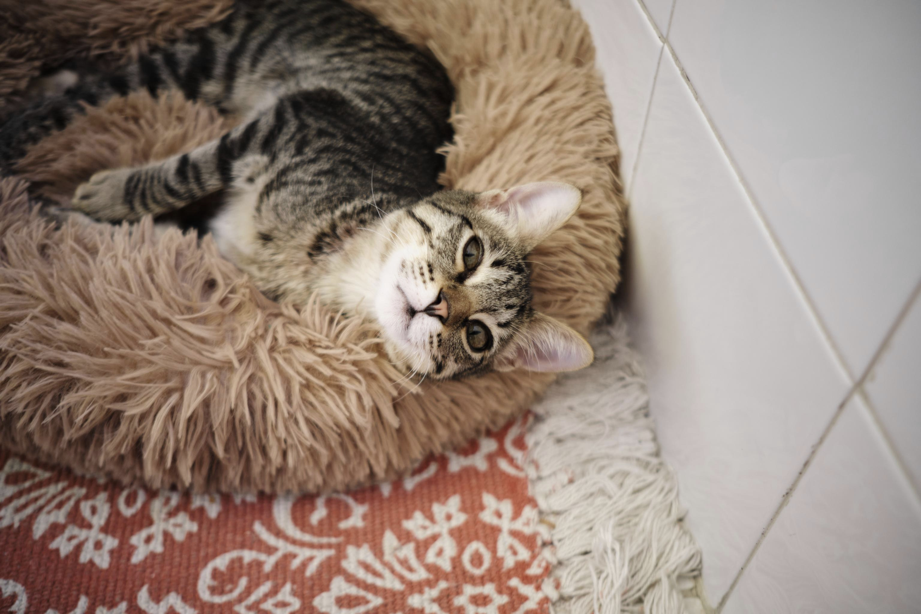 User-uploaded image 2