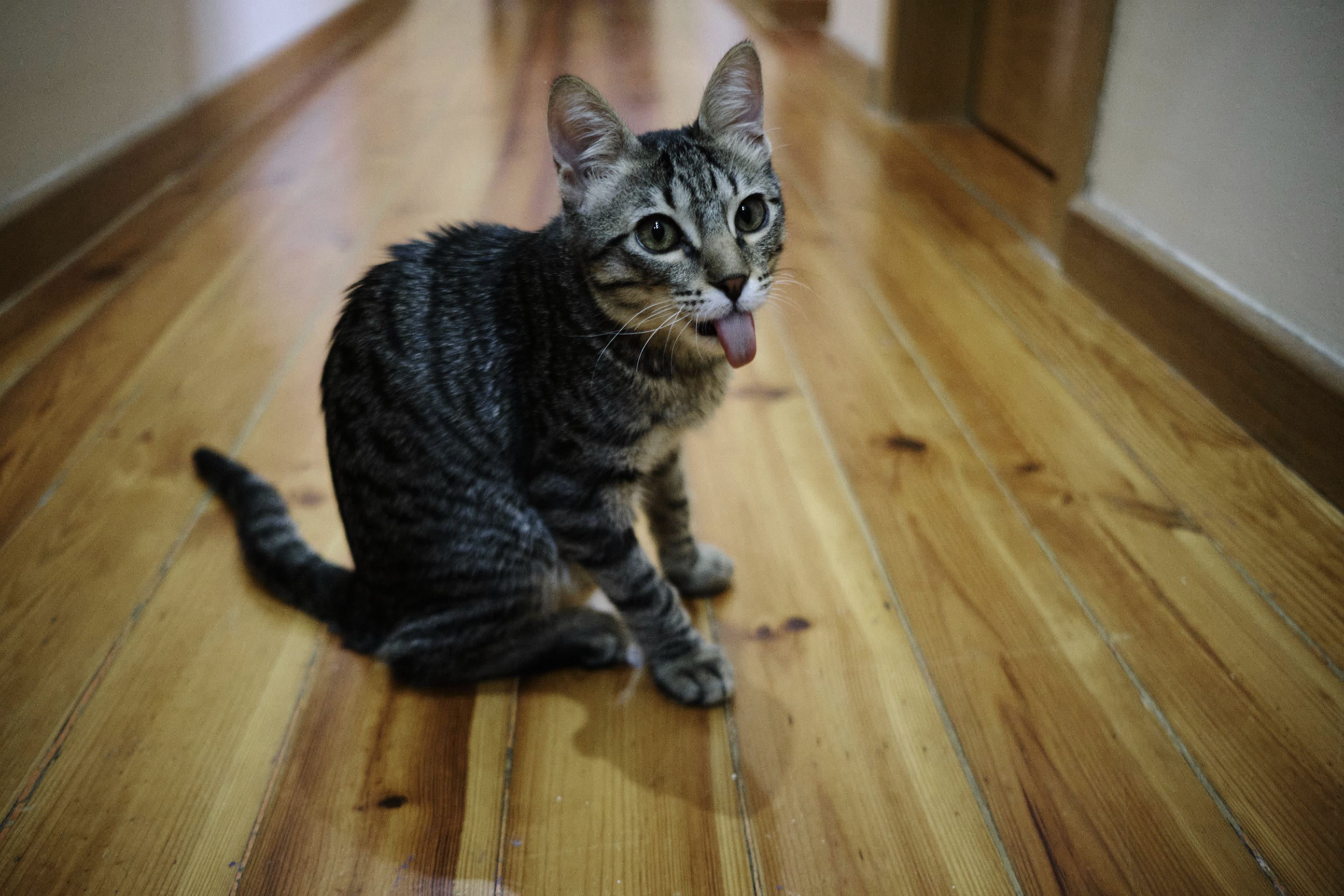 User-uploaded image 3