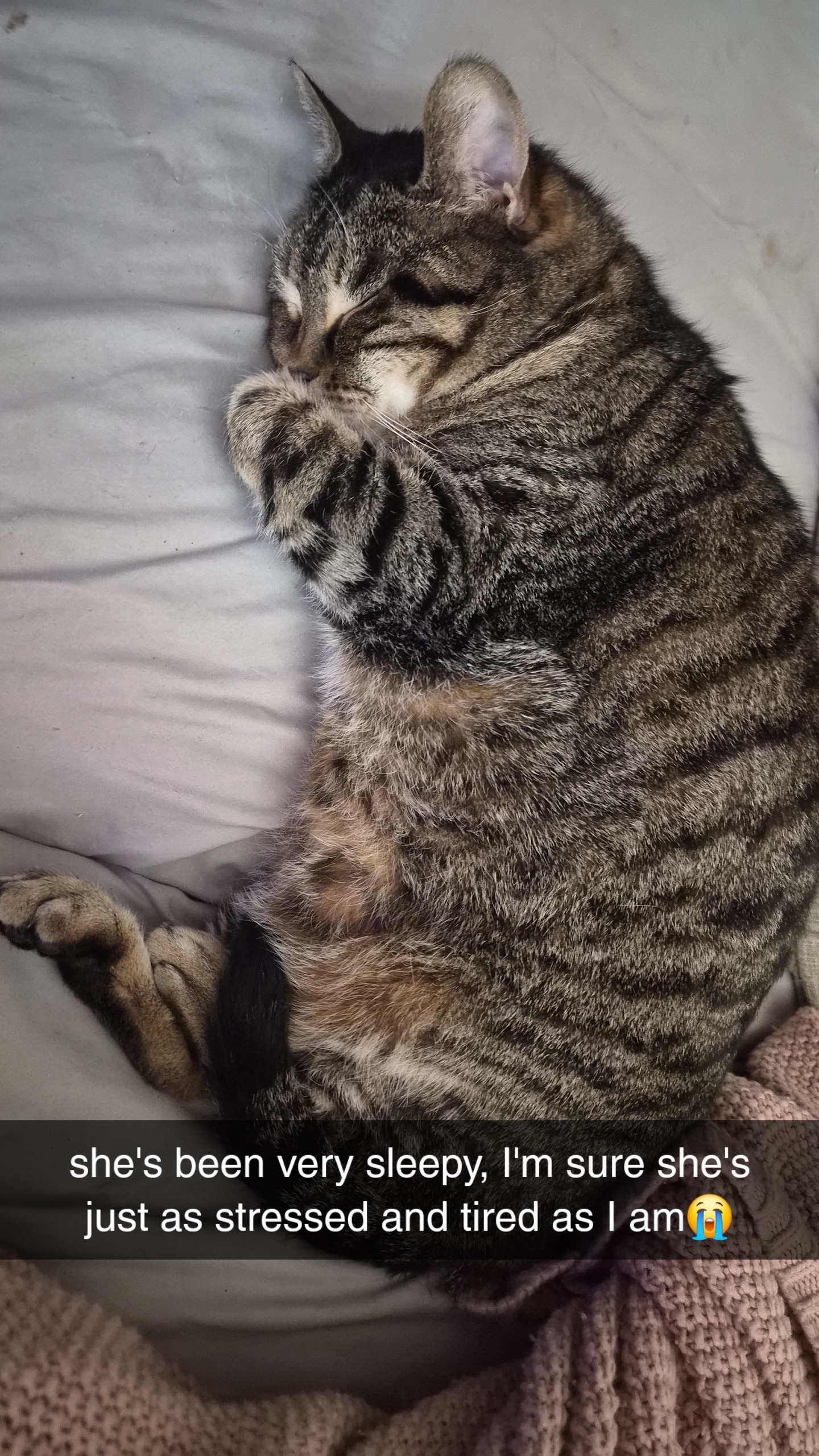 Support Luna's Fight for a Healthy Life: Surgery Expenses campaign photo, 4 of 7